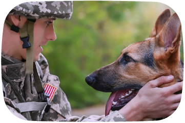 Soldier in camouflage uniform with a dog in front of a blurred green background