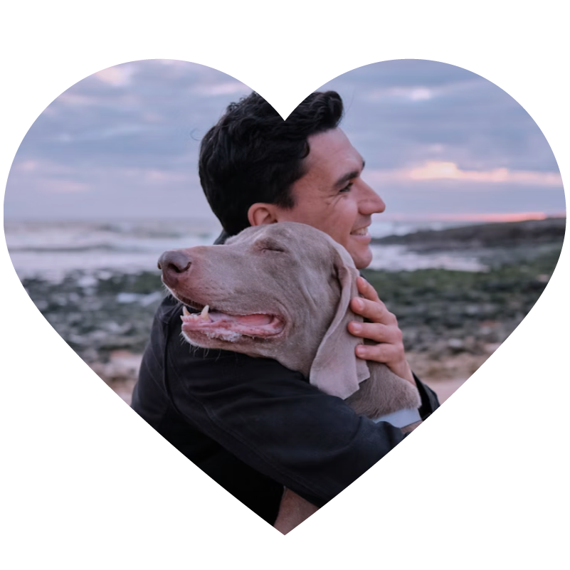 Heart-shaped frame with a man hugging a dog against a scenic background