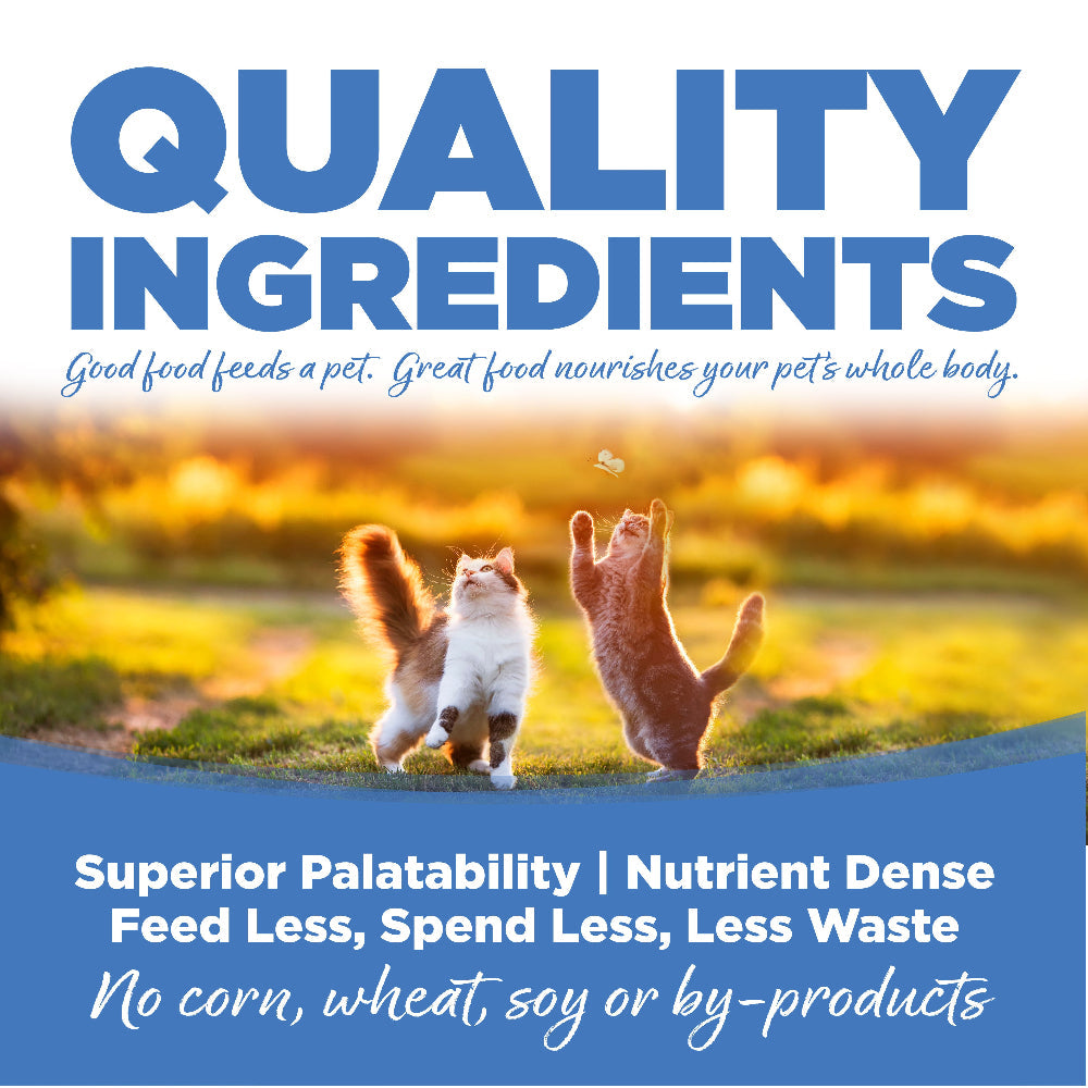 Two cats playing in a field with promotional text about quality ingredients.