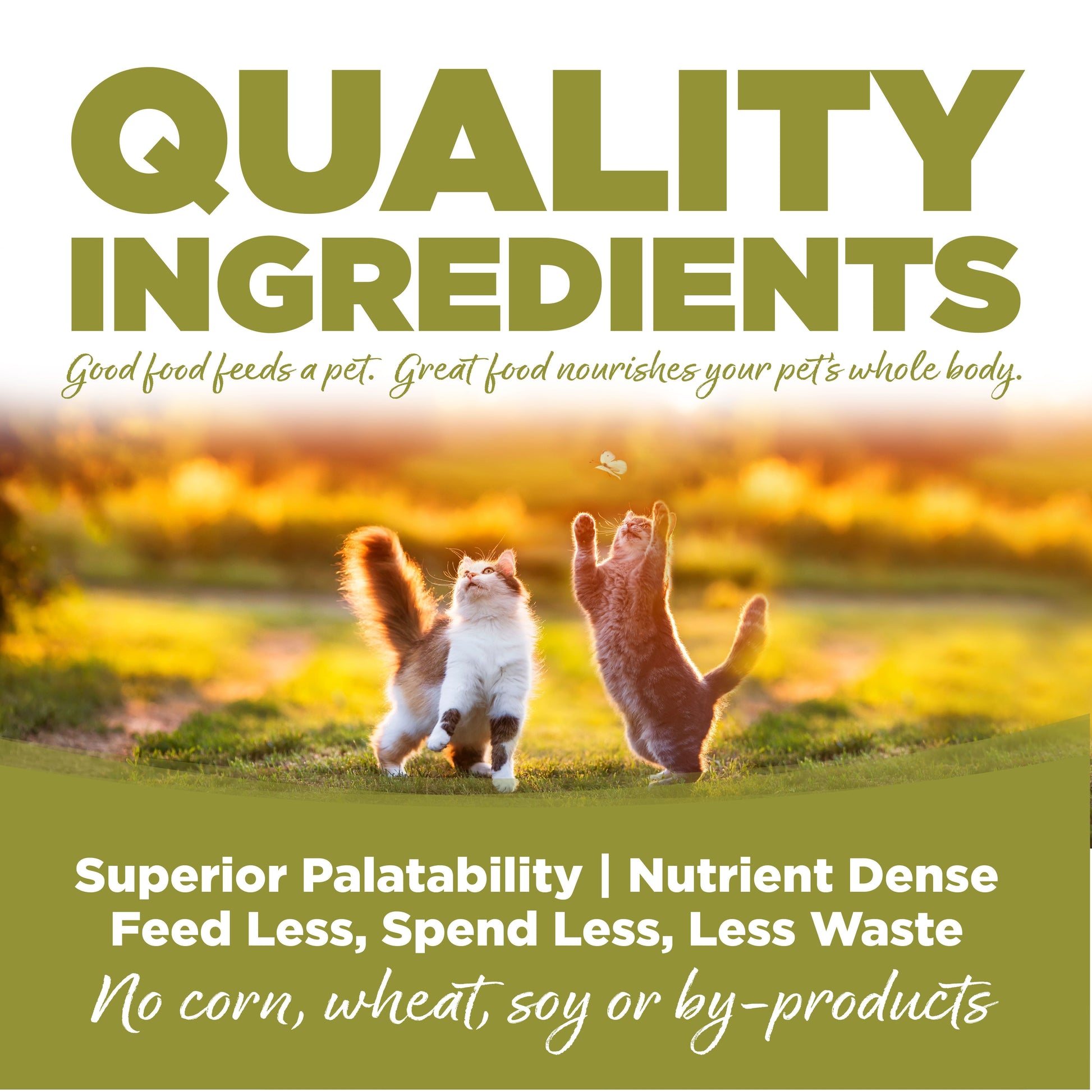Quality Ingredients: Superior Palatability & Nutrient Dense – Feed less, spend less, less waste. No corn, wheat, soy or by-products.