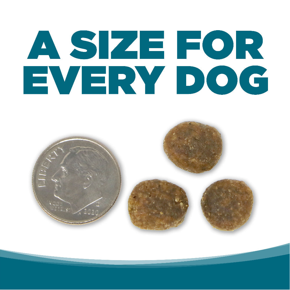 A SIZE FOR EVERY DOG - kibble pieces beside a dime for size comparison