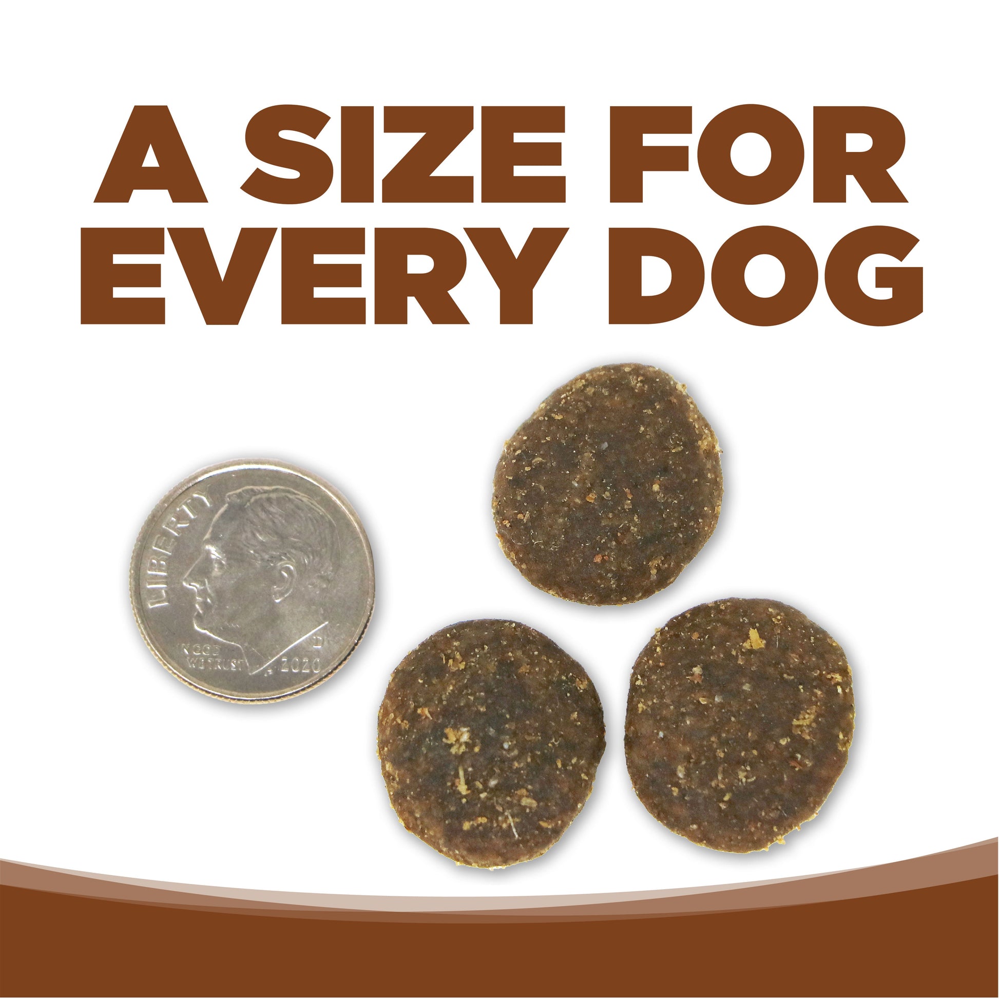 A SIZE FOR EVERY DOG