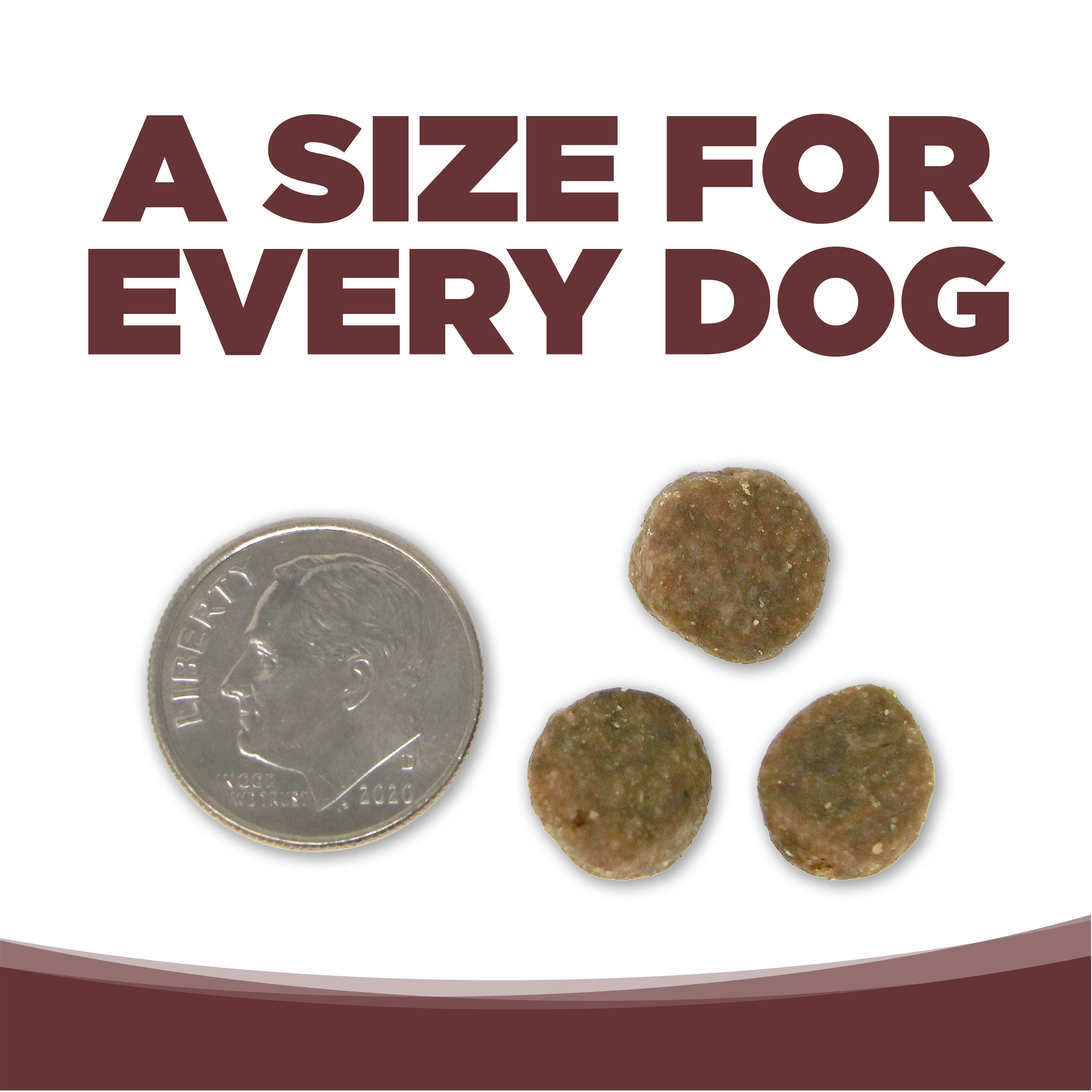 A SIZE FOR EVERY DOG