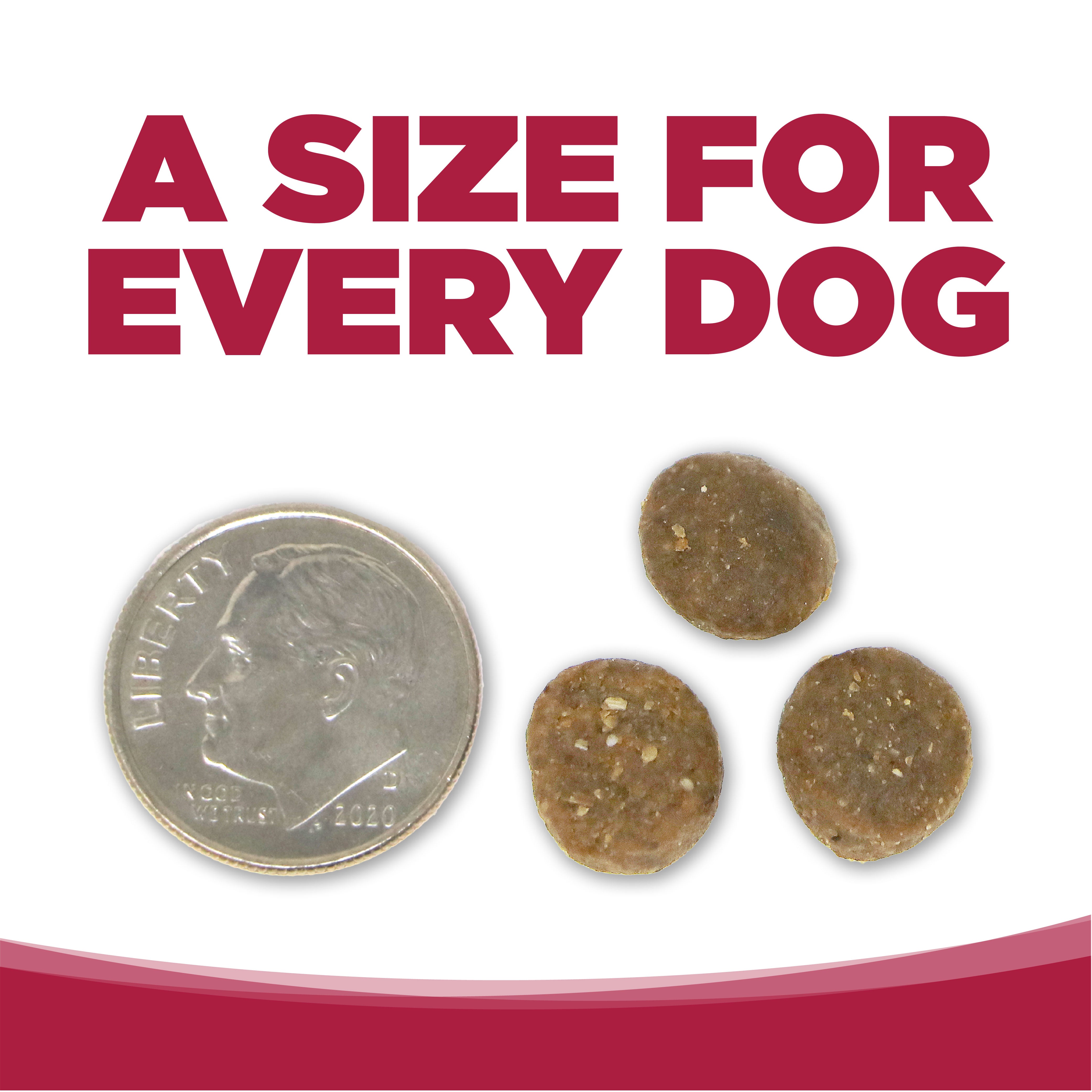 BUY Seafood Select Dog Food | Healthy Dog Food | NutriSource Pet