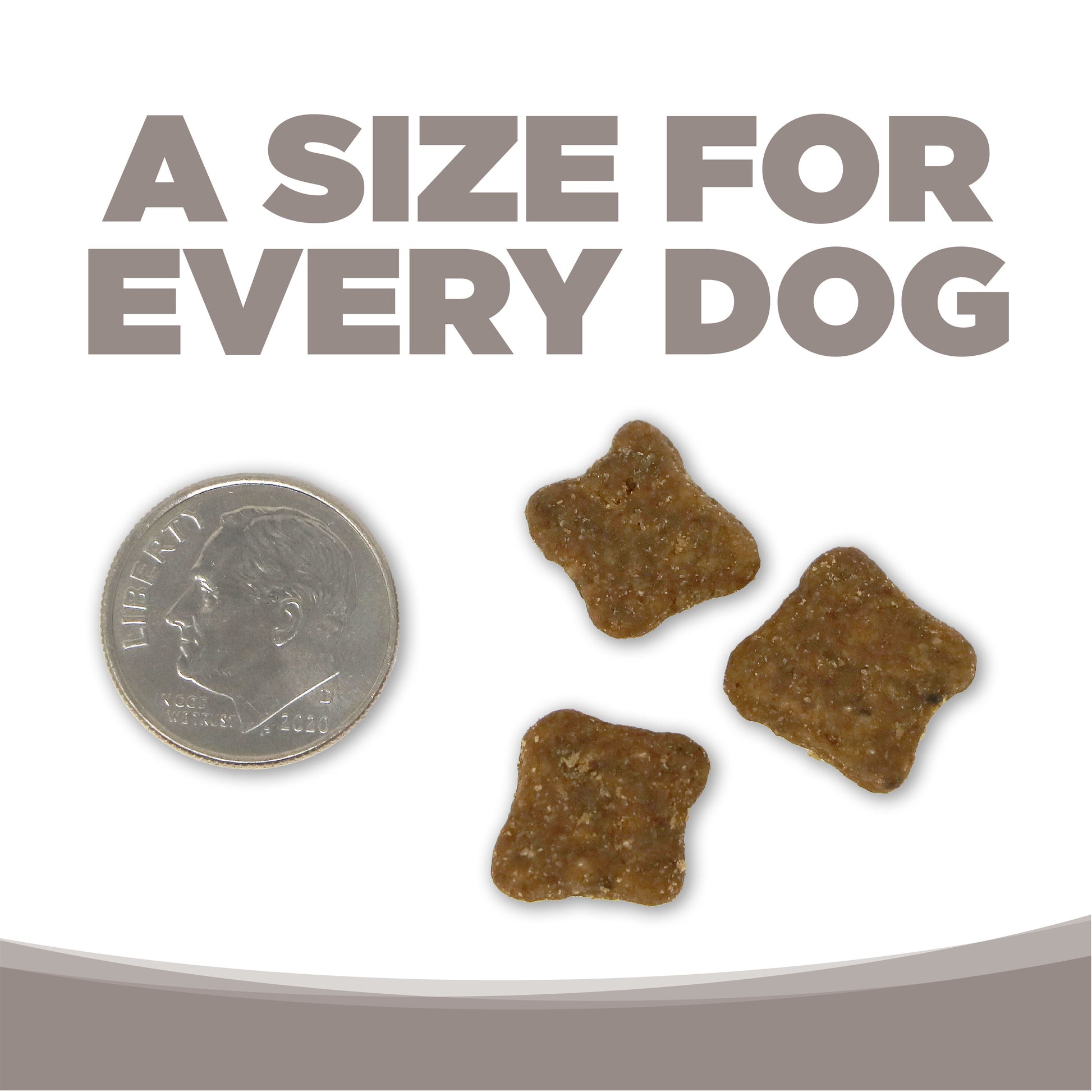 A SIZE FOR EVERY DOG