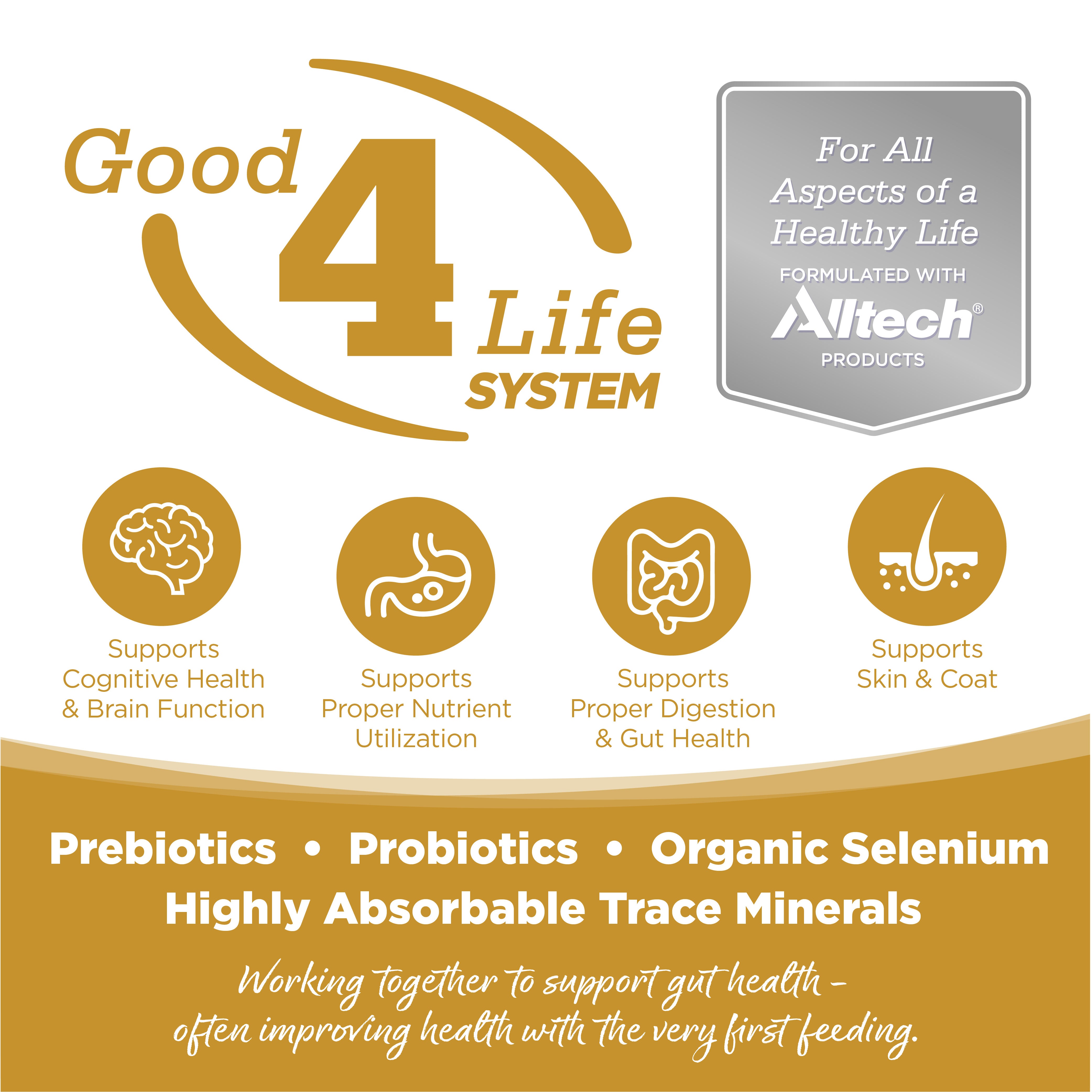 Good 4 Life: Our proprietary Good 4 Life system includes 4 key ingredients that work together to support gut health and the well-being of your pet.
