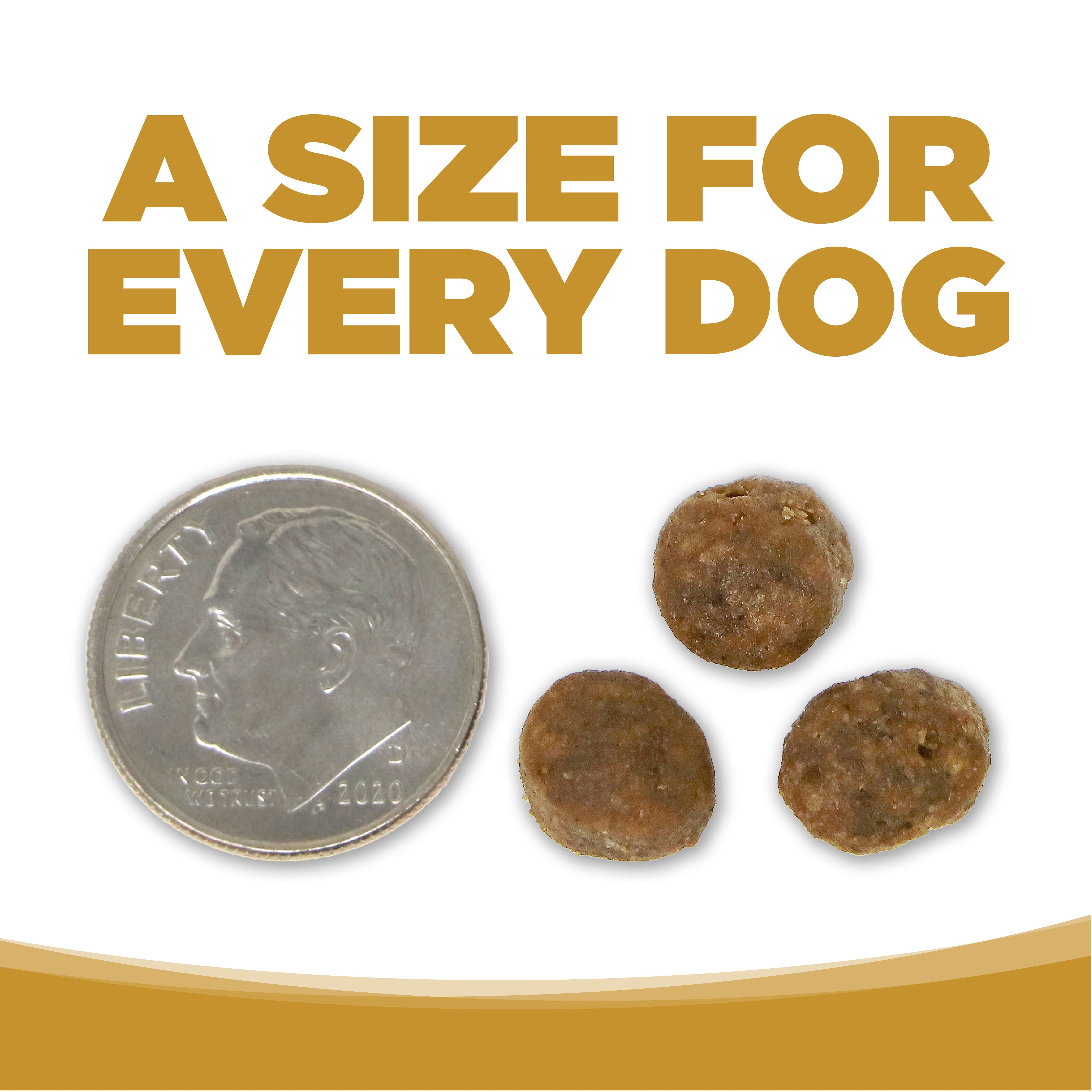 A SIZE FOR EVERY DOG