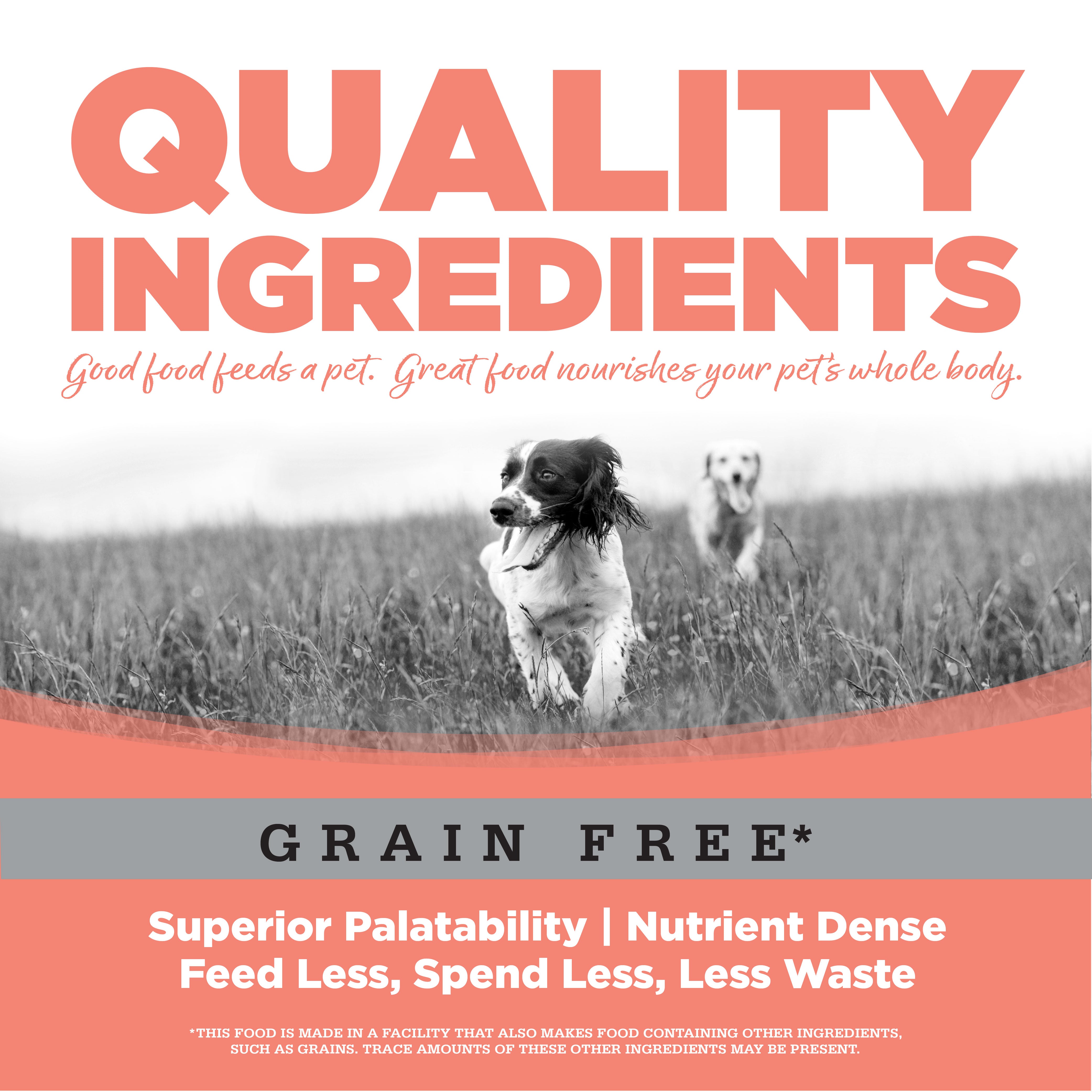 BUY Seafood Select Small Bites | Healthy Dog Food | NutriSource