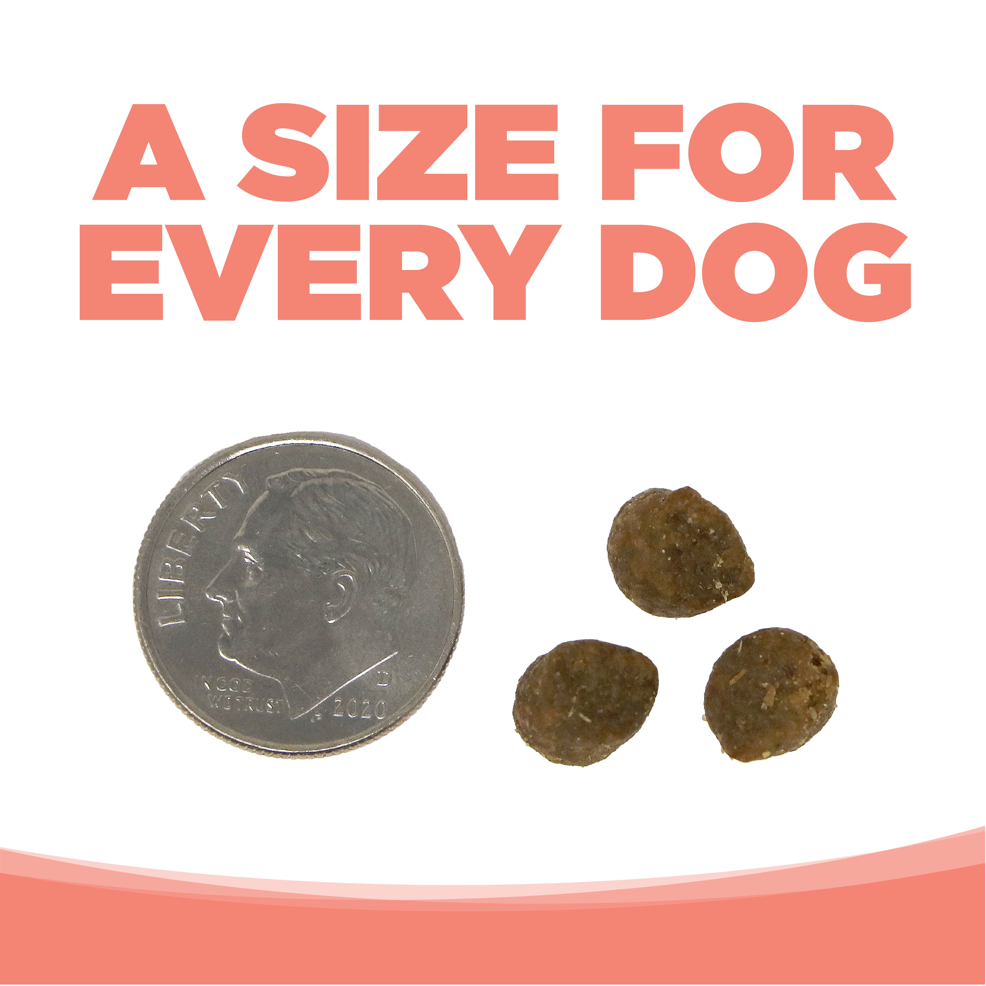 BUY Seafood Select Small Bites | Healthy Dog Food | NutriSource
