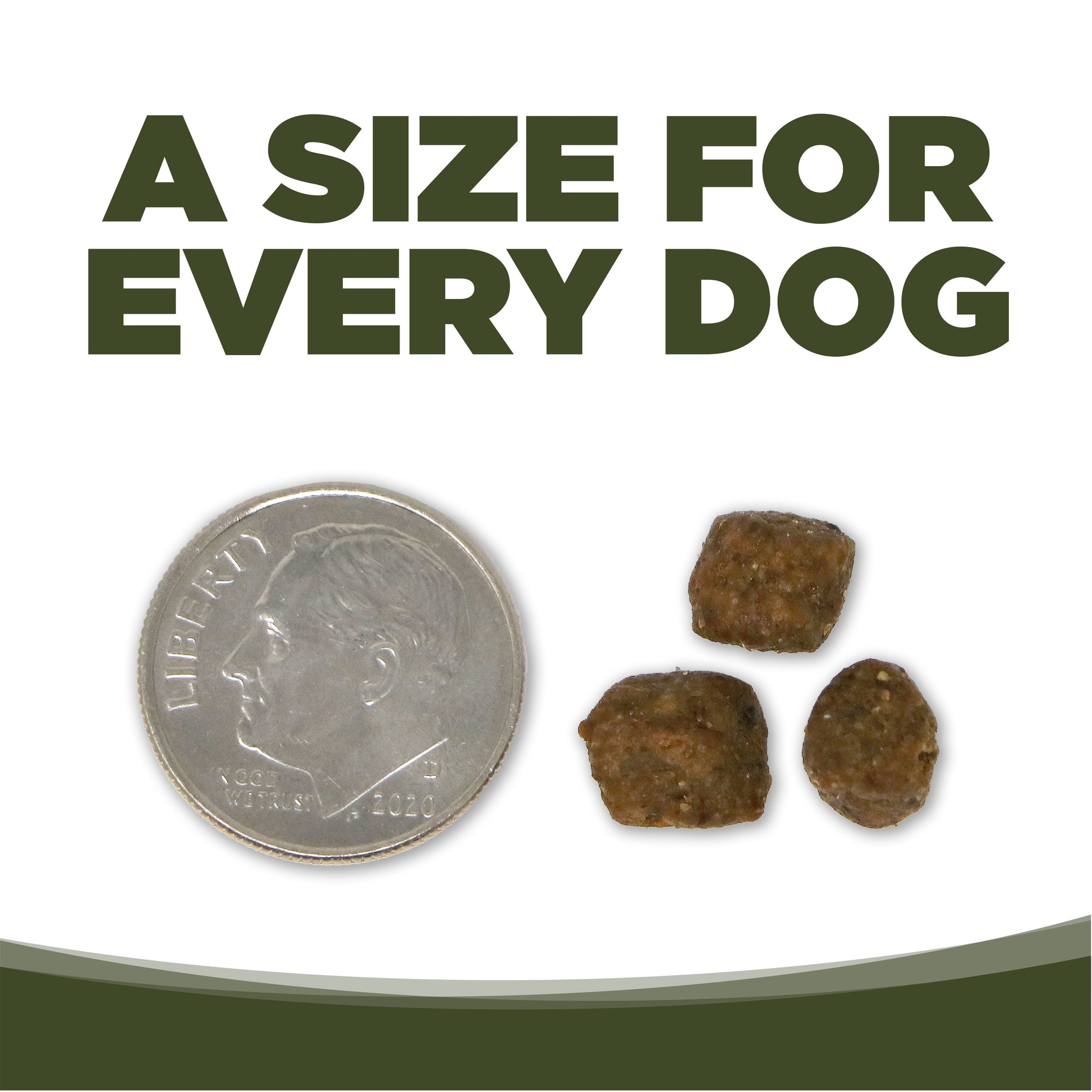 A SIZE FOR EVERY DOG