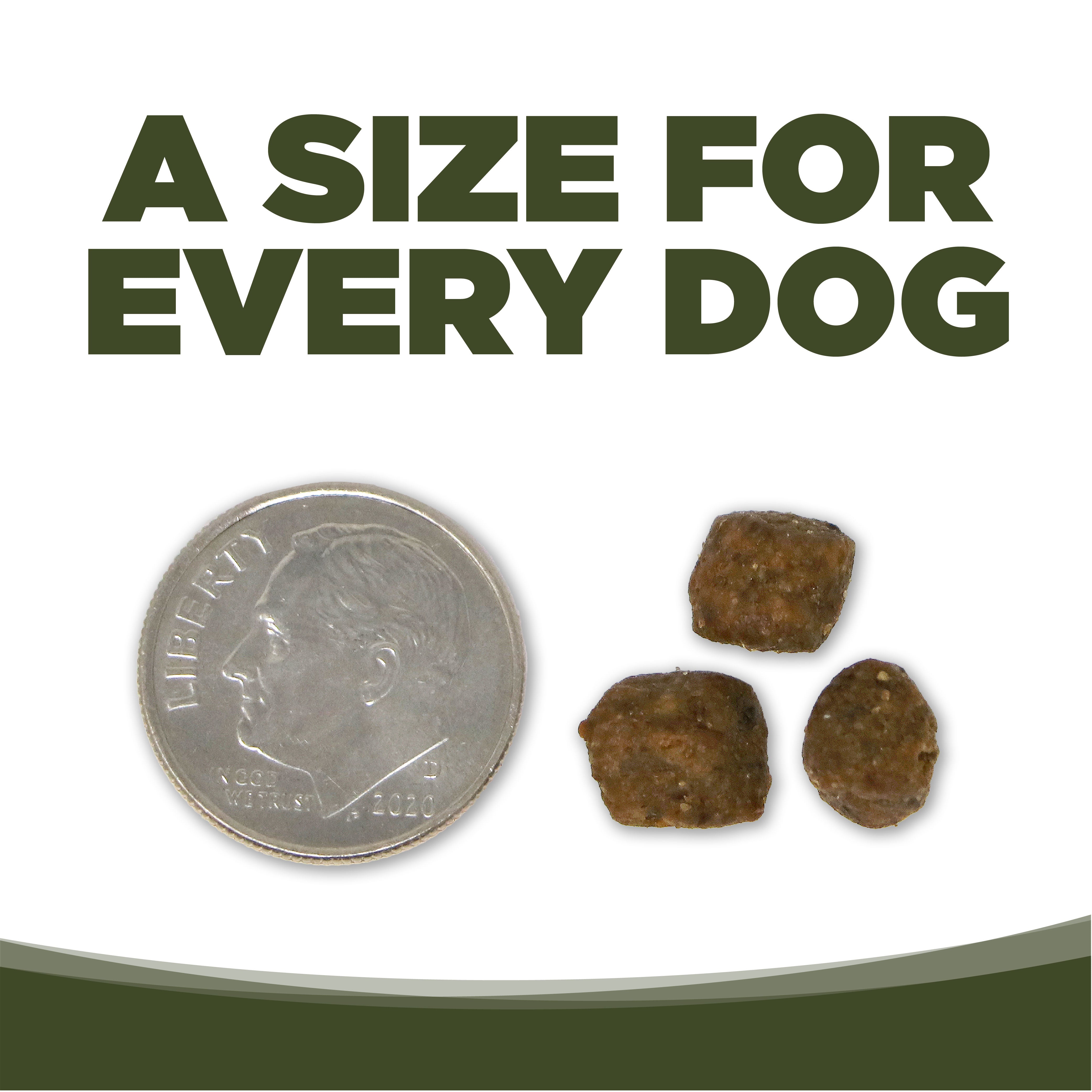 A SIZE FOR EVERY DOG