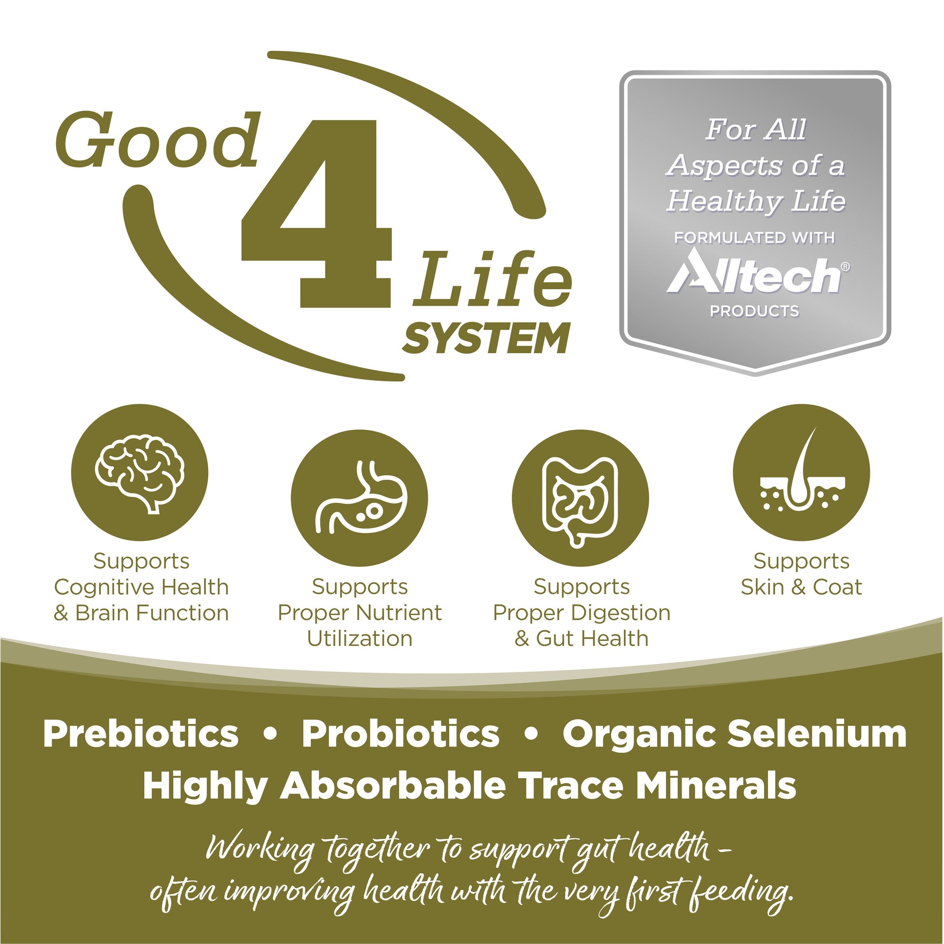 Good 4 Life: Our proprietary Good 4 Life system includes 4 key ingredients that work together to support gut health and the well-being of your pet.