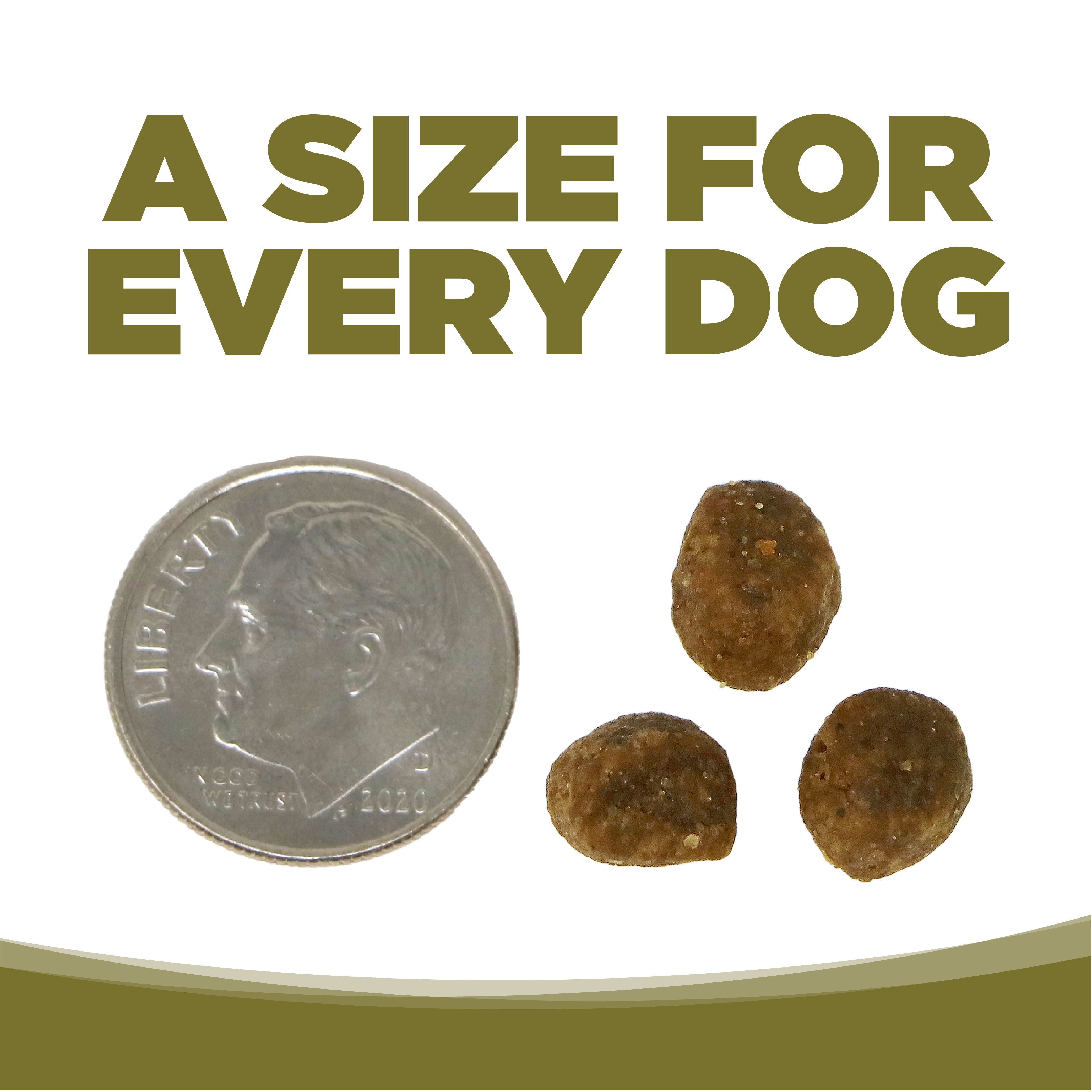A SIZE FOR EVERY DOG - kibble pieces beside a dime for size comparison