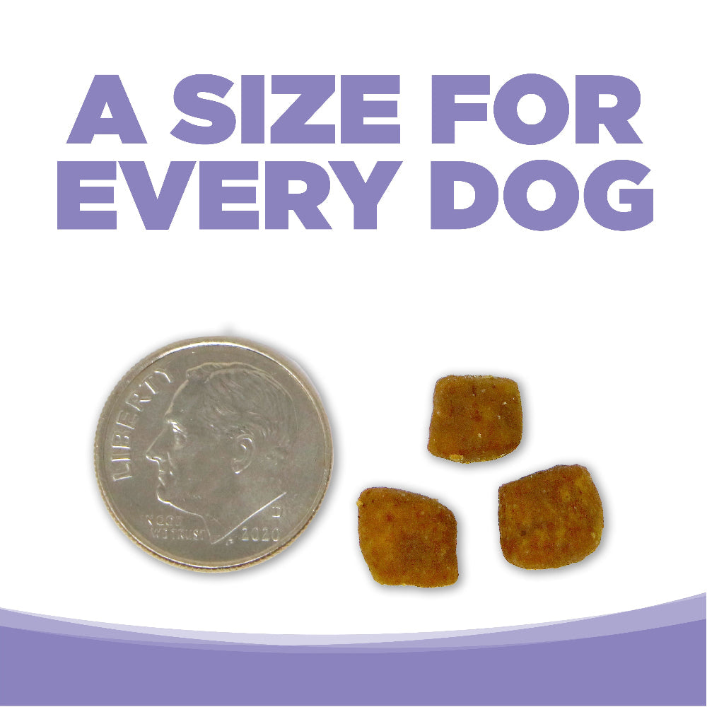 A SIZE FOR EVERY DOG - kibble pieces beside a dime for size comparison