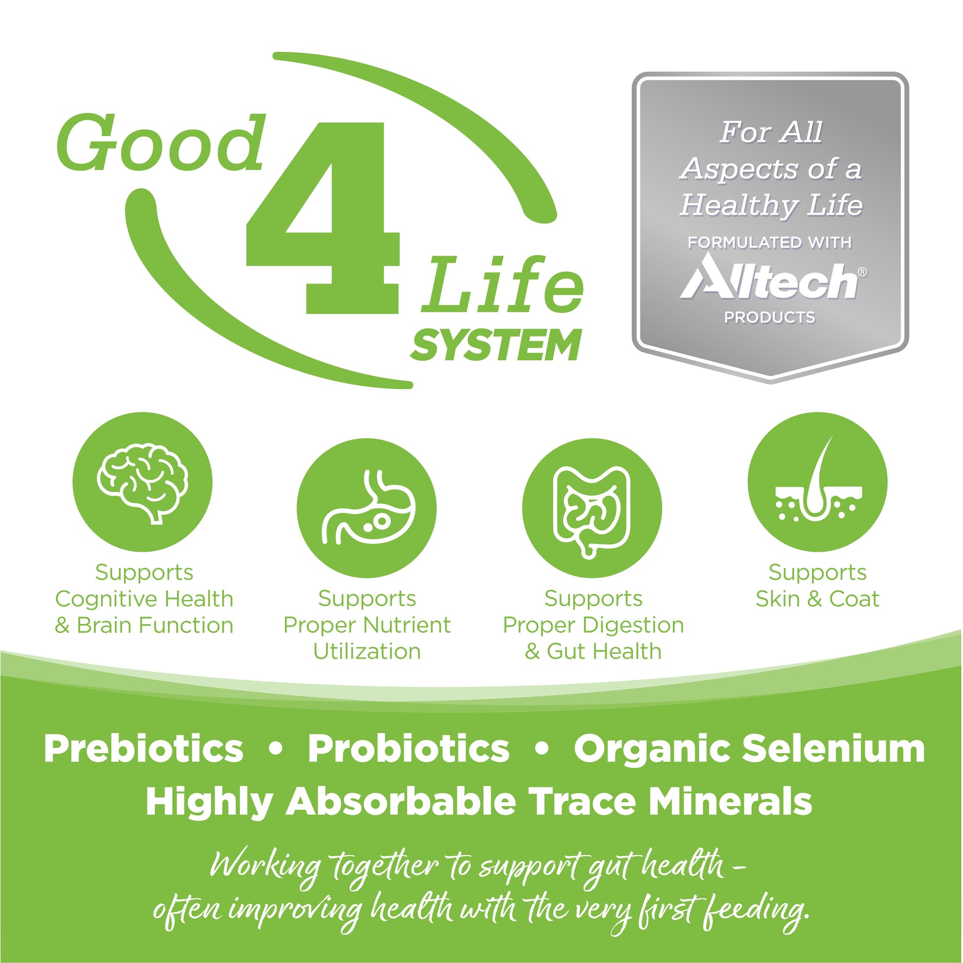 Good 4 Life: Our proprietary Good 4 Life system includes 4 key ingredients that work together to support gut health and the well-being of your pet.