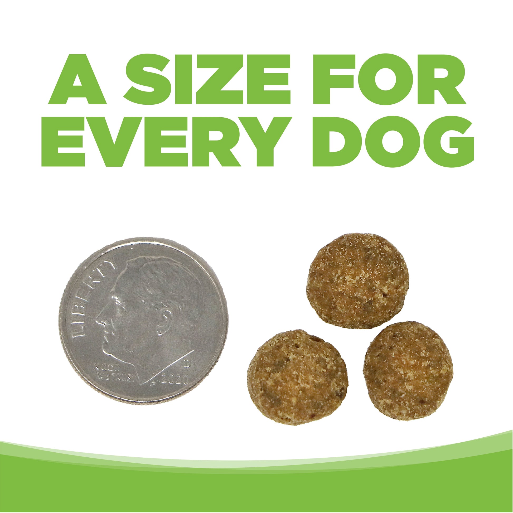 A SIZE FOR EVERY DOG