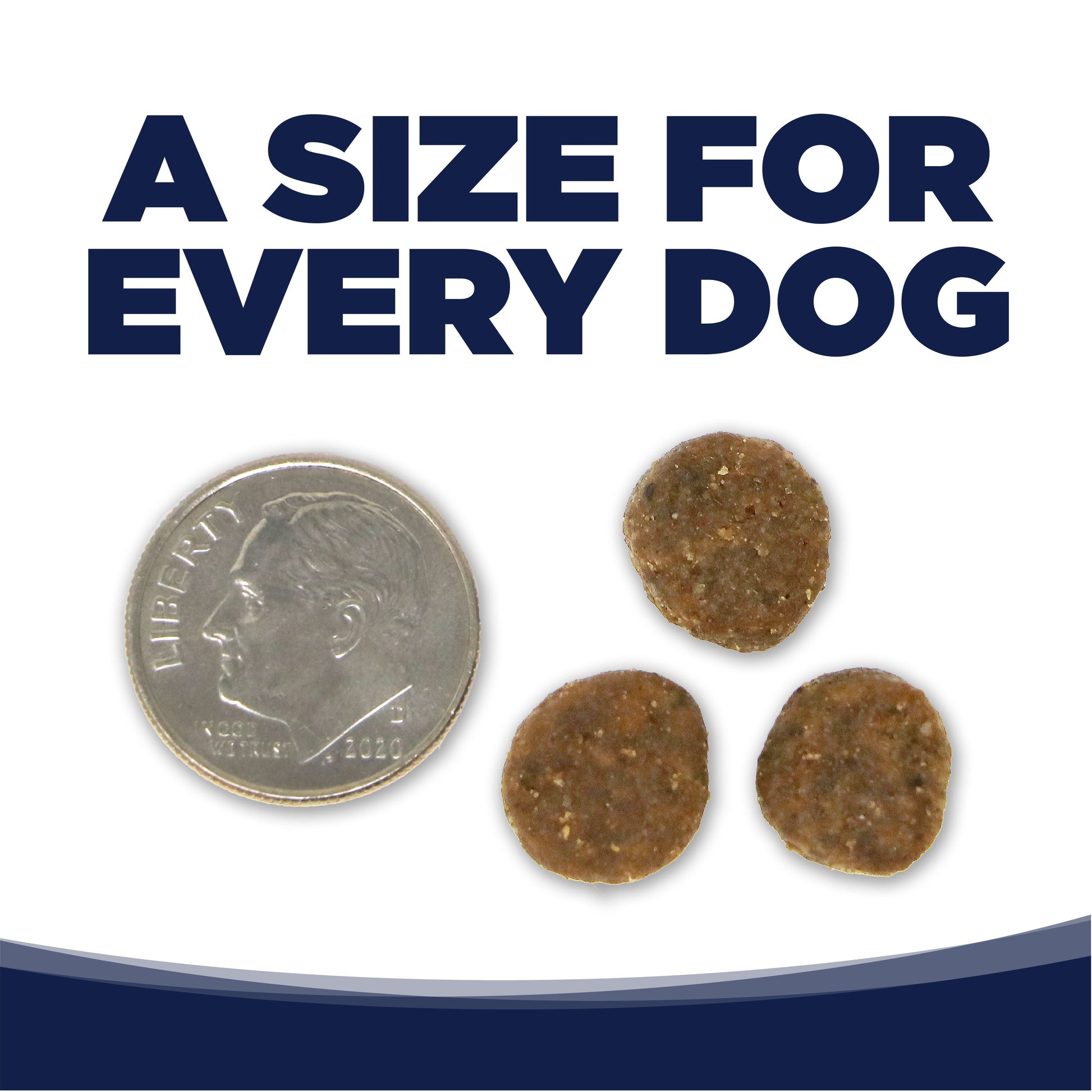 A SIZE FOR EVERY DOG