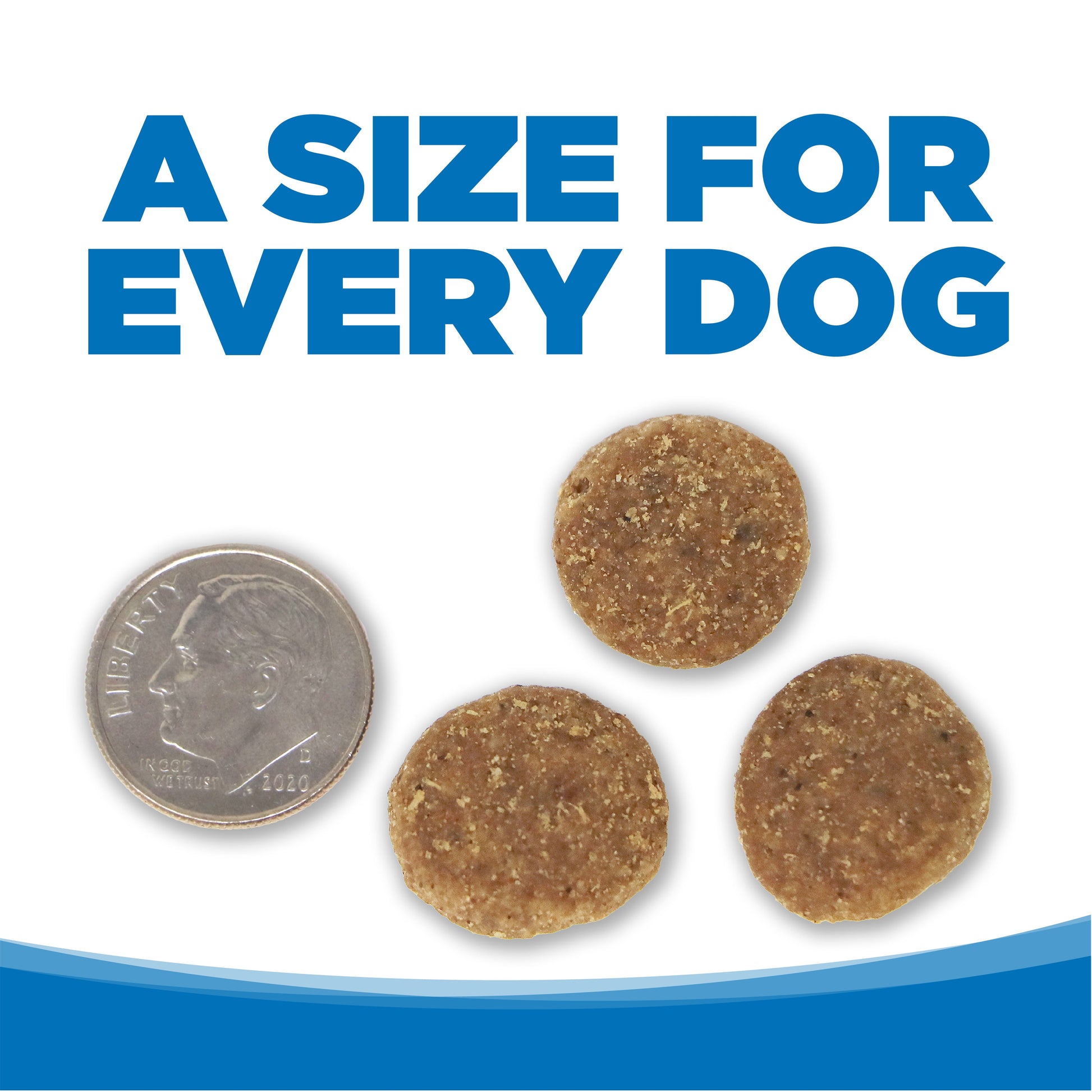 A SIZE FOR EVERY DOG