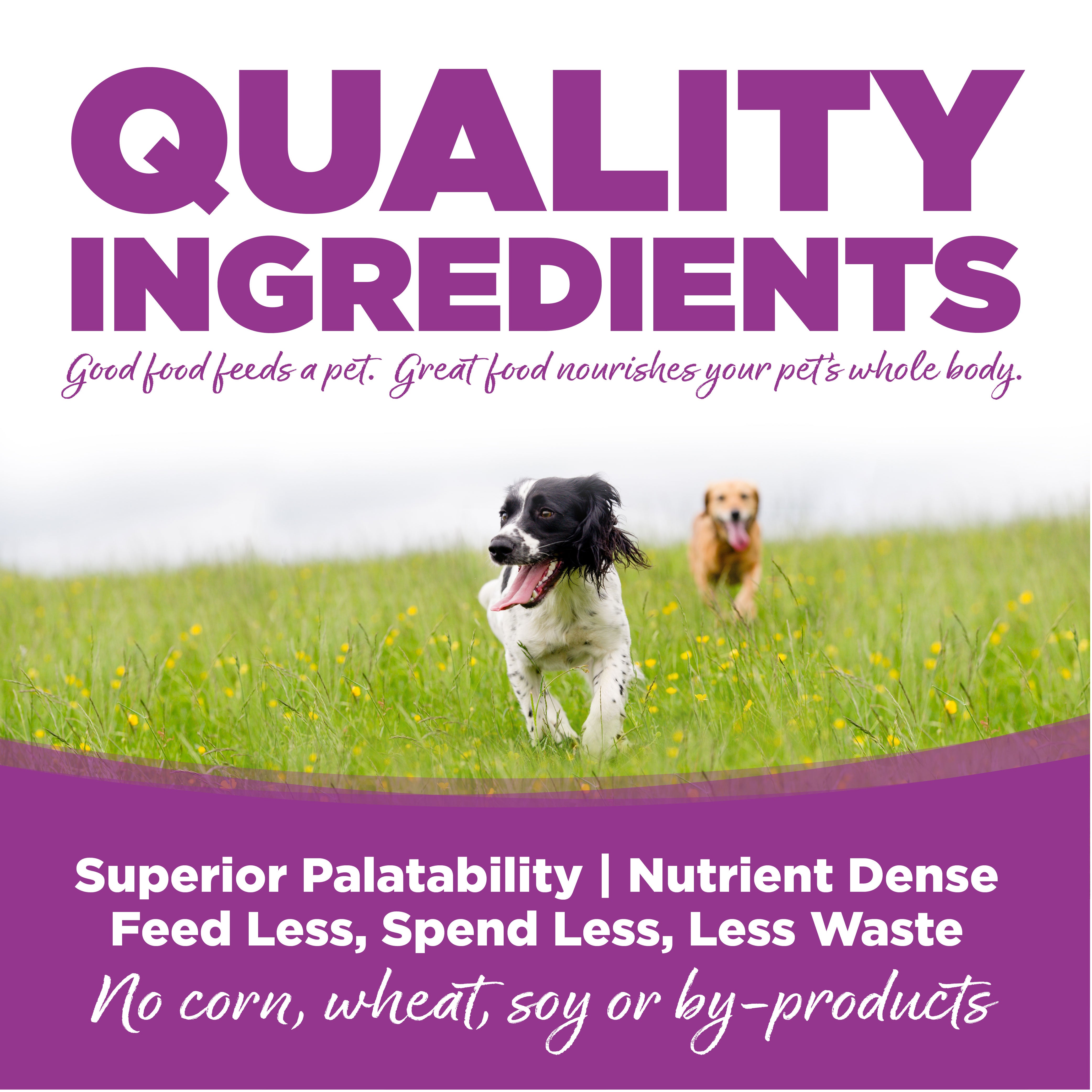 Quality Ingredients: Superior Palatability & Nutrient Dense – Feed less, spend less, less waste. No corn, wheat, soy or by-products.