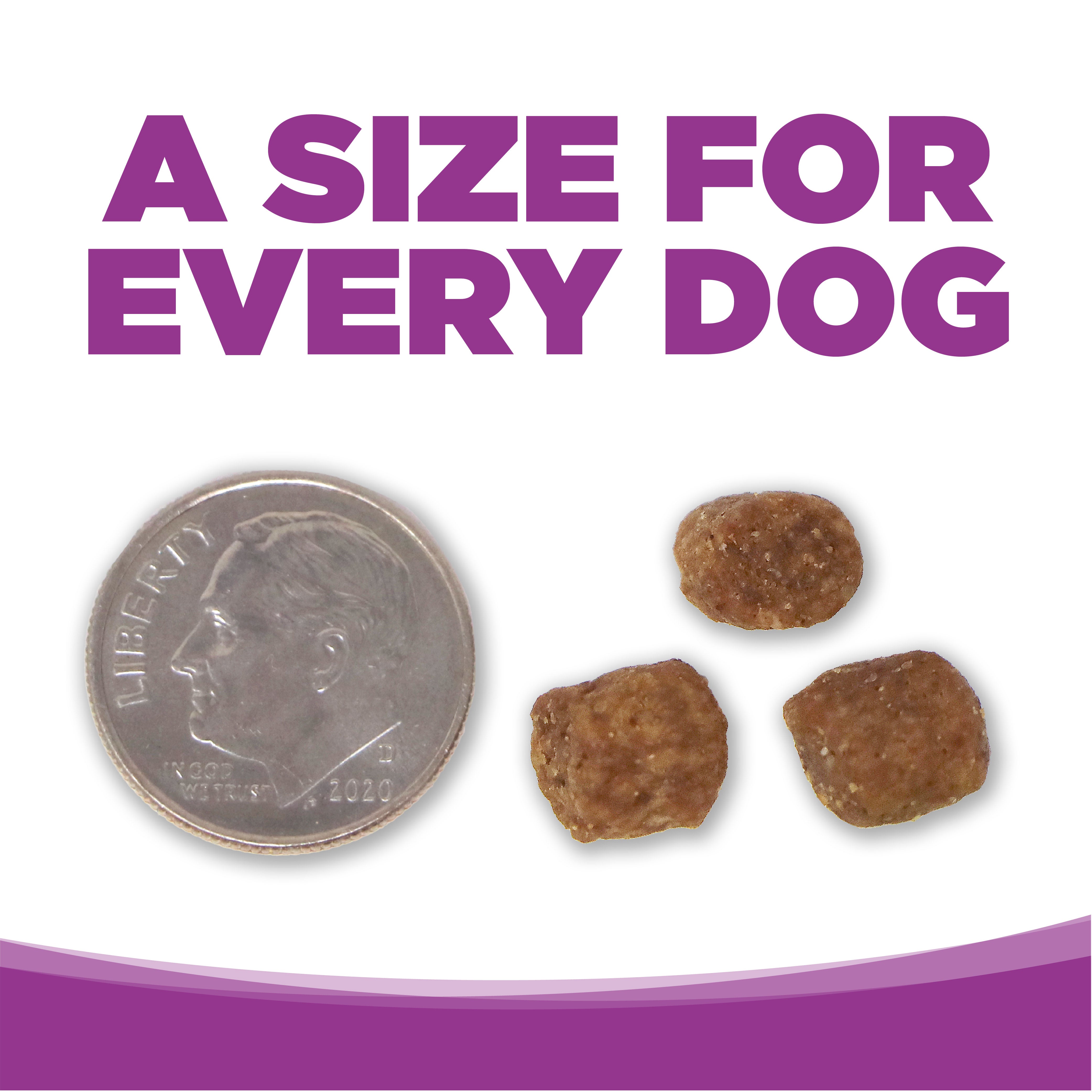 BUY Large Breed Chicken & Rice Puppy Food | NutriSource Pet Foods
