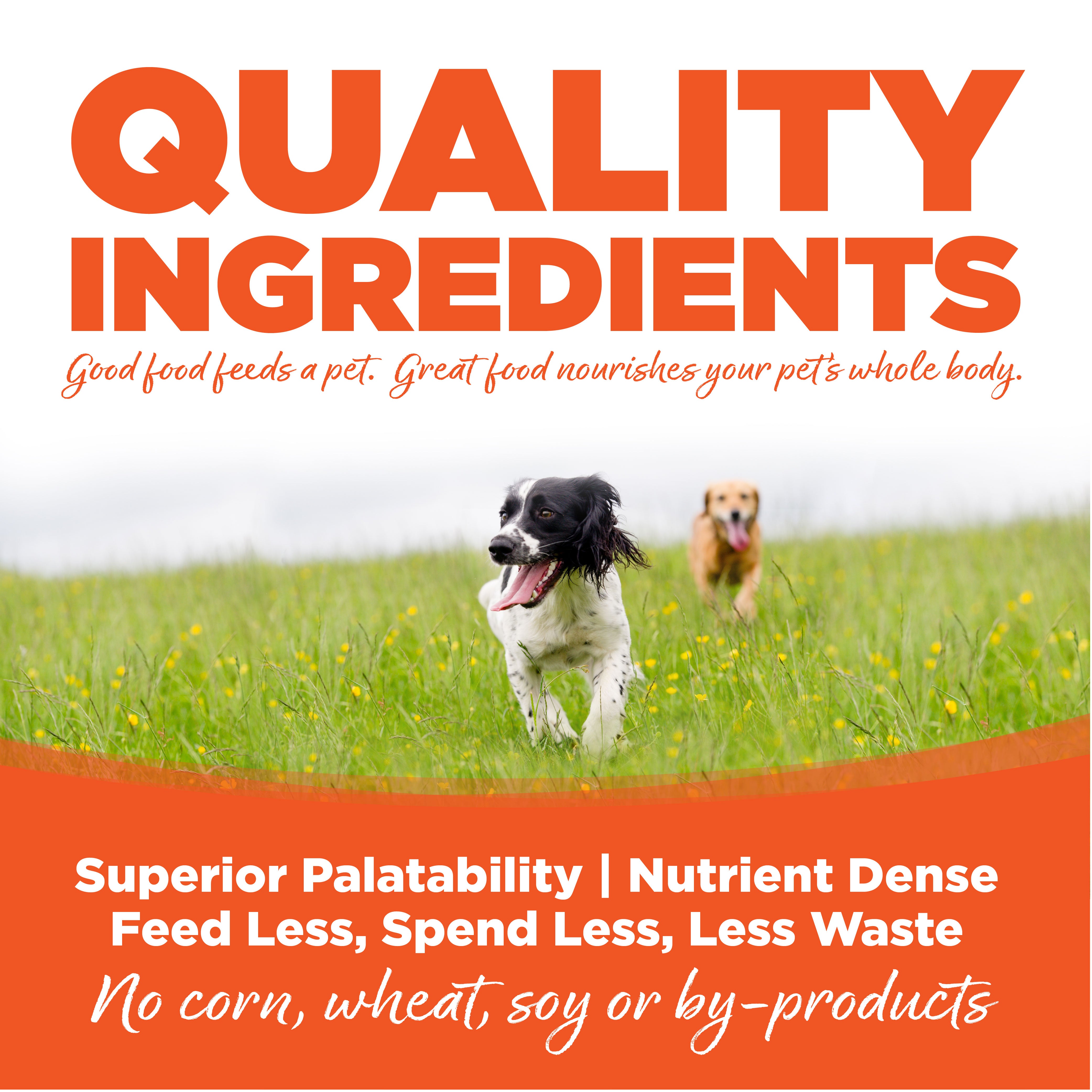 Quality Ingredients: Superior Palatability & Nutrient Dense – Feed less, spend less, less waste. No corn, wheat, soy or by-products.