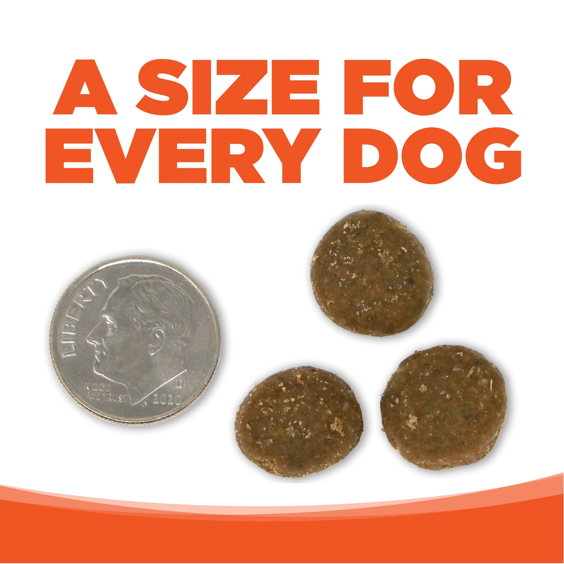 A SIZE FOR EVERY DOG