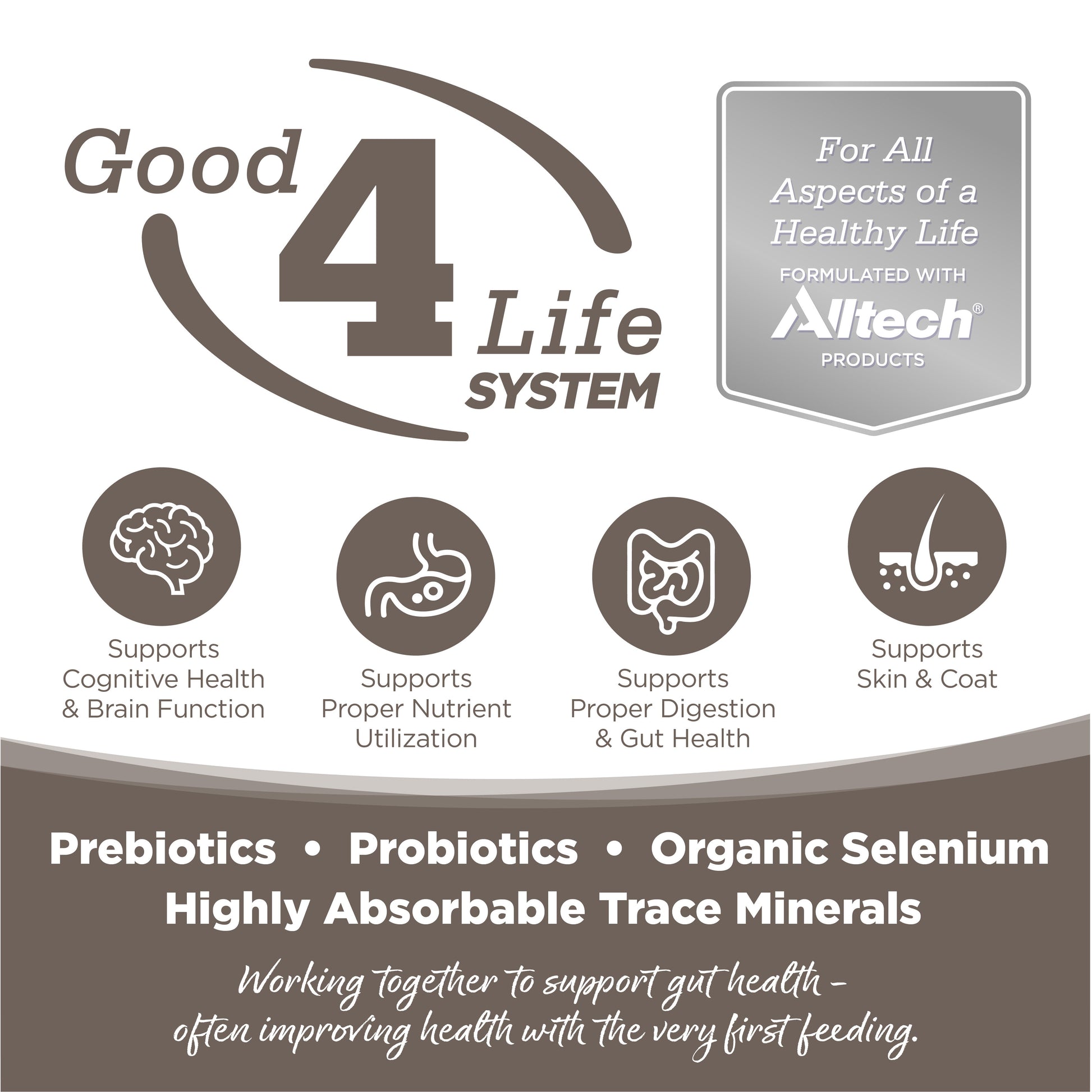 Good 4 Life: Our proprietary Good 4 Life system includes 4 key ingredients that work together to support gut health and the well-being of your pet.