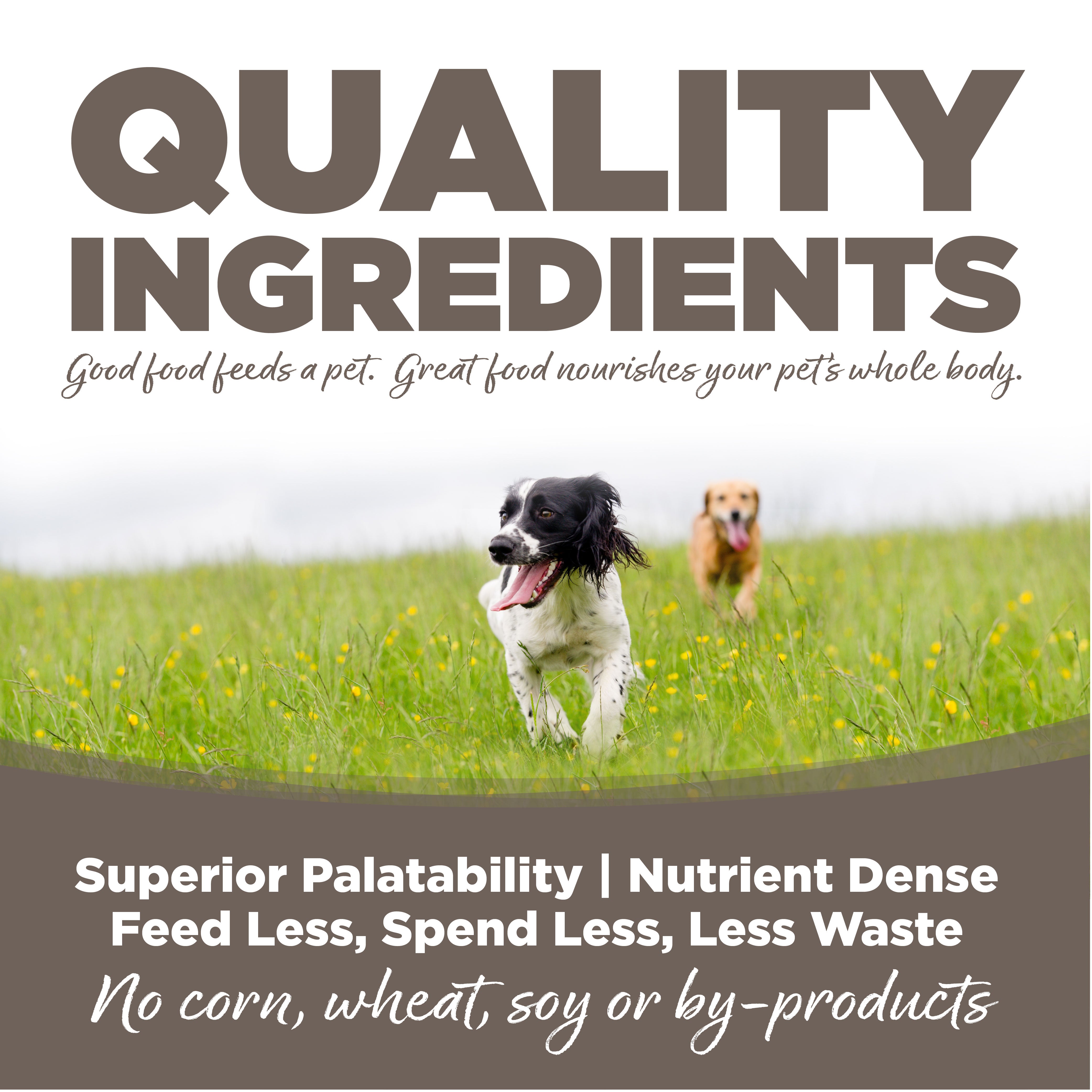 Quality Ingredients: Superior Palatability & Nutrient Dense – Feed less, spend less, less waste. No corn, wheat, soy or by-products.