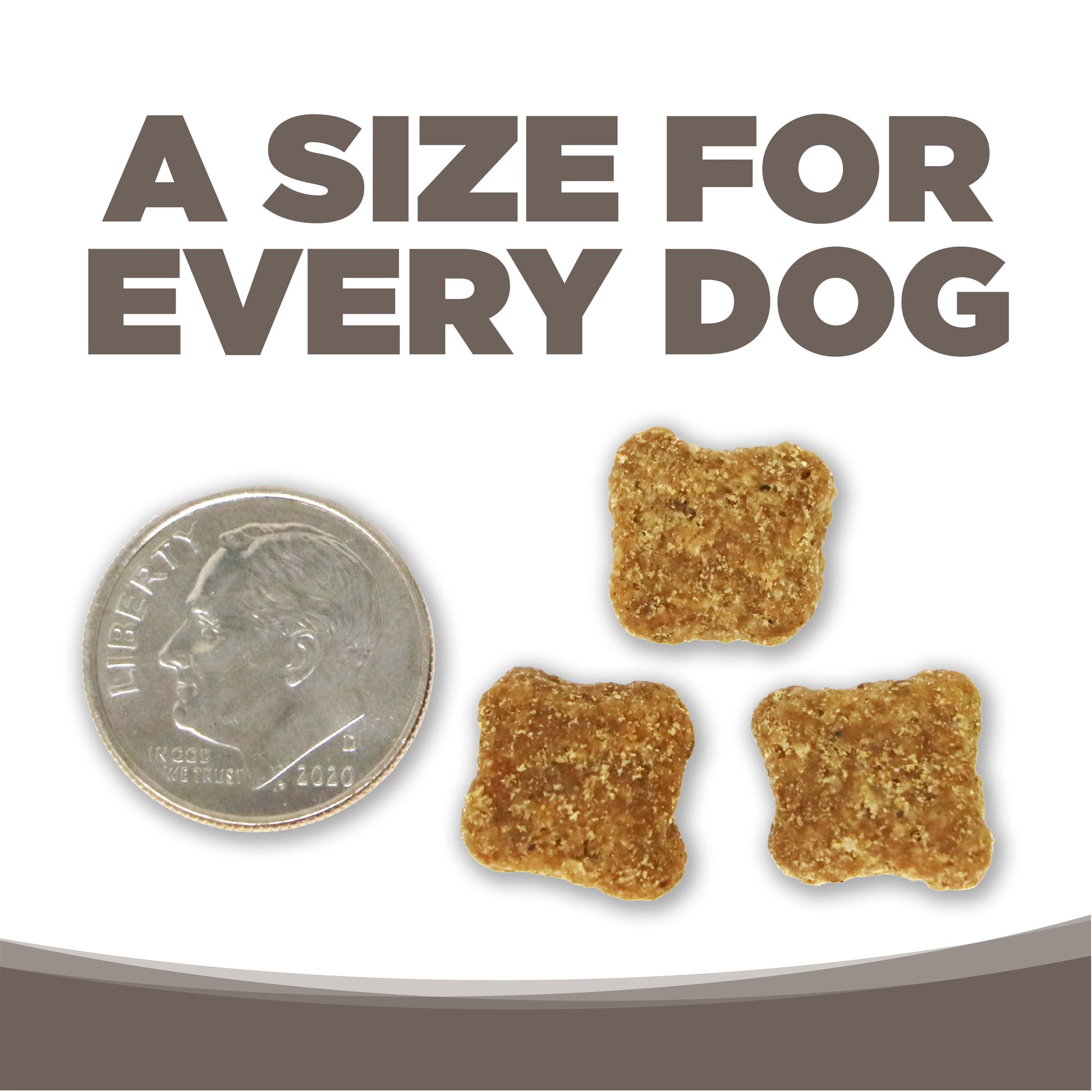 A SIZE FOR EVERY DOG