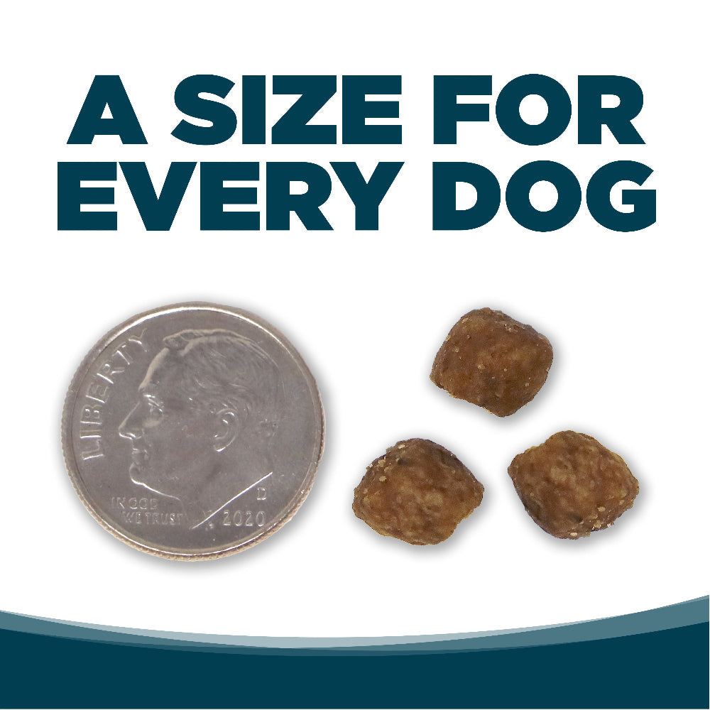A SIZE FOR EVERY DOG - kibble pieces beside a dime for size comparison