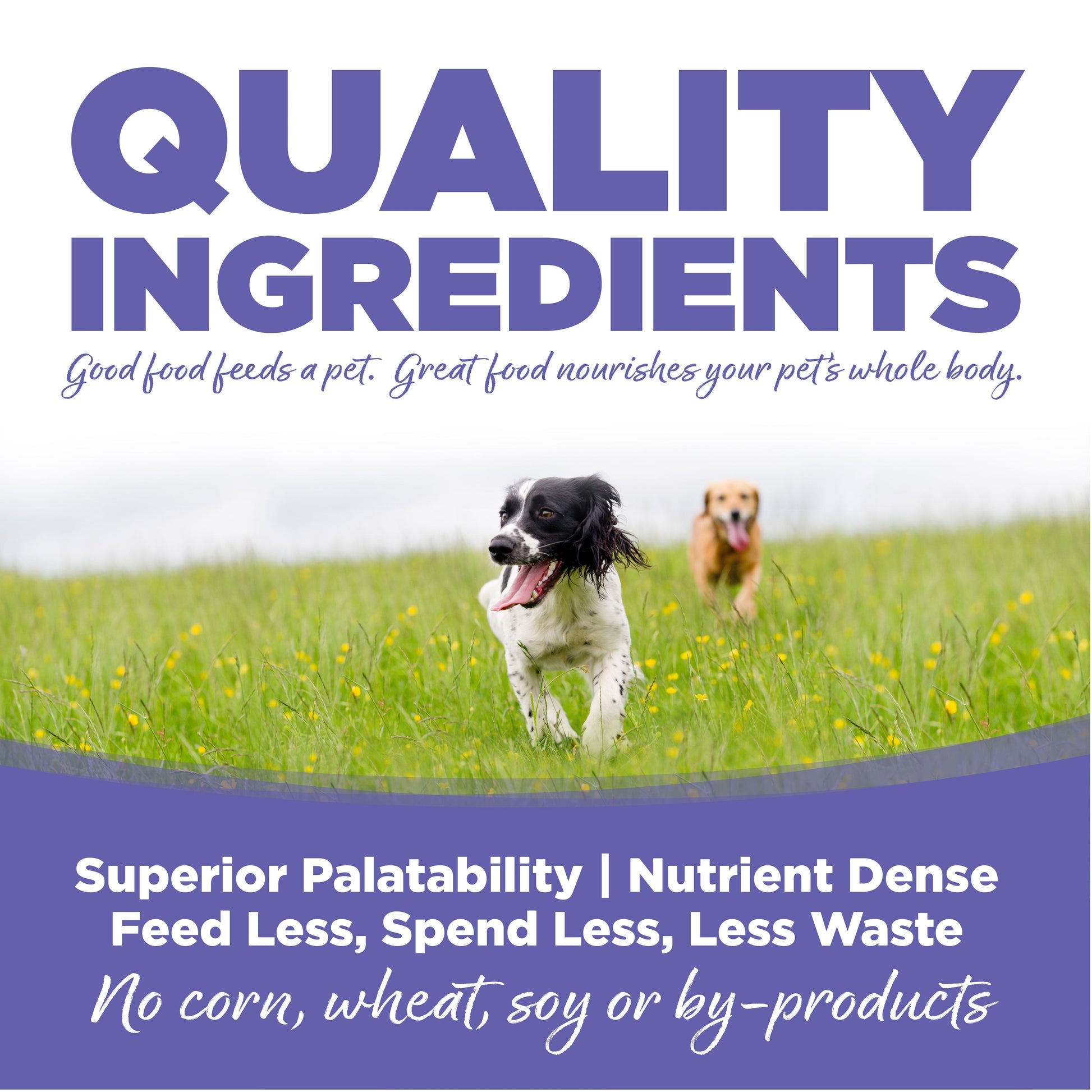 Quality Ingredients: Superior Palatability & Nutrient Dense – Feed less, spend less, less waste. No corn, wheat, soy or by-products.