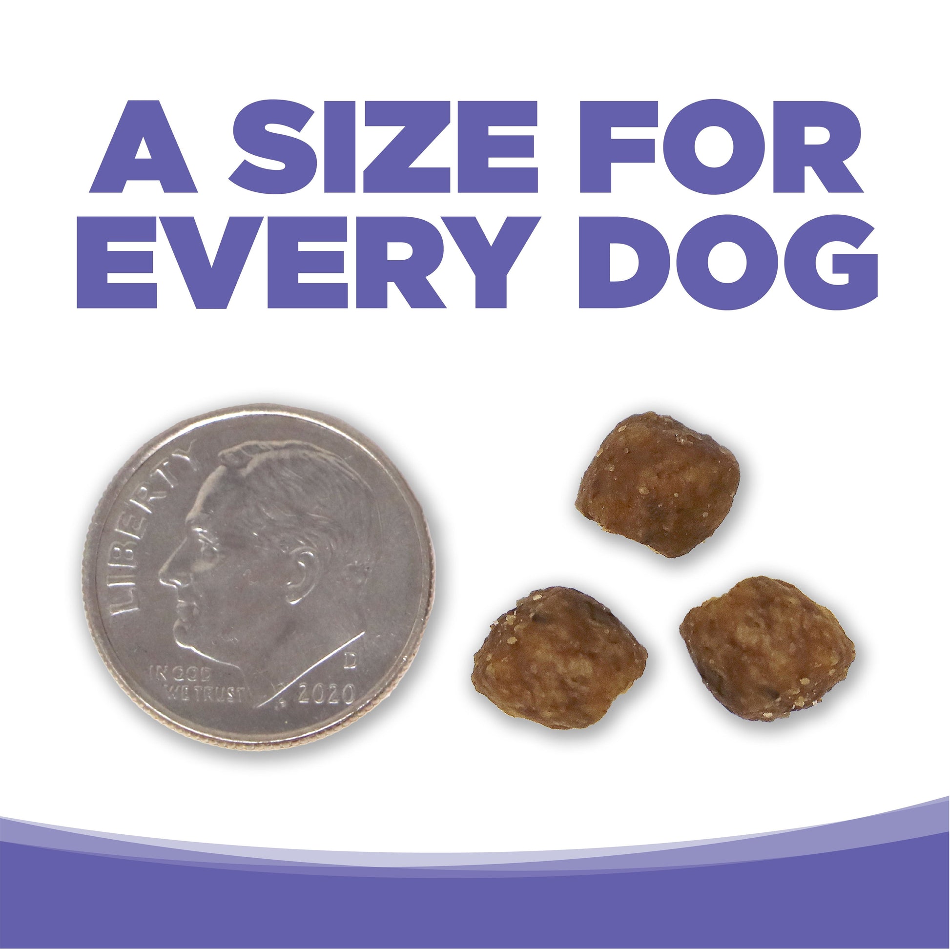A SIZE FOR EVERY DOG