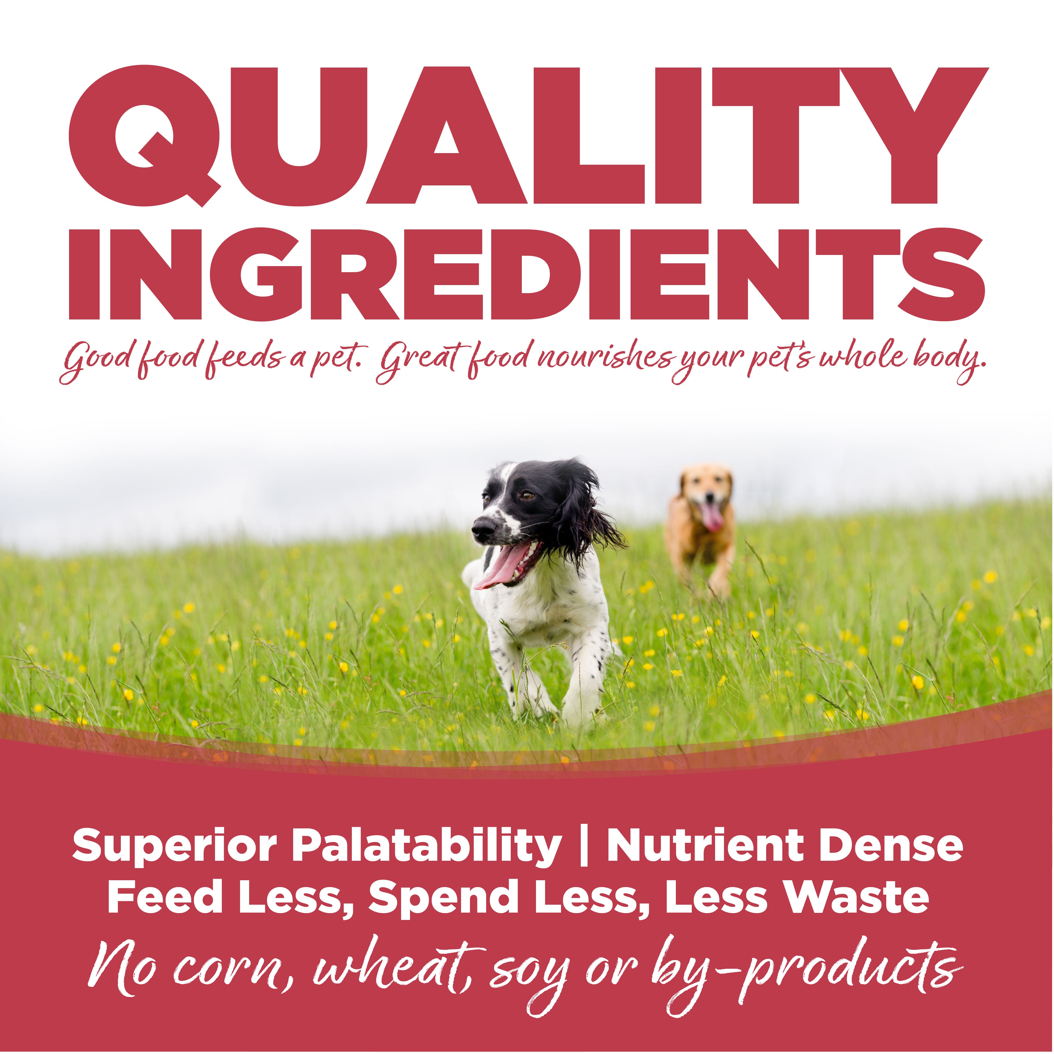 Quality Ingredients: Superior Palatability & Nutrient Dense – Feed less, spend less, less waste. No corn, wheat, soy or by-products.