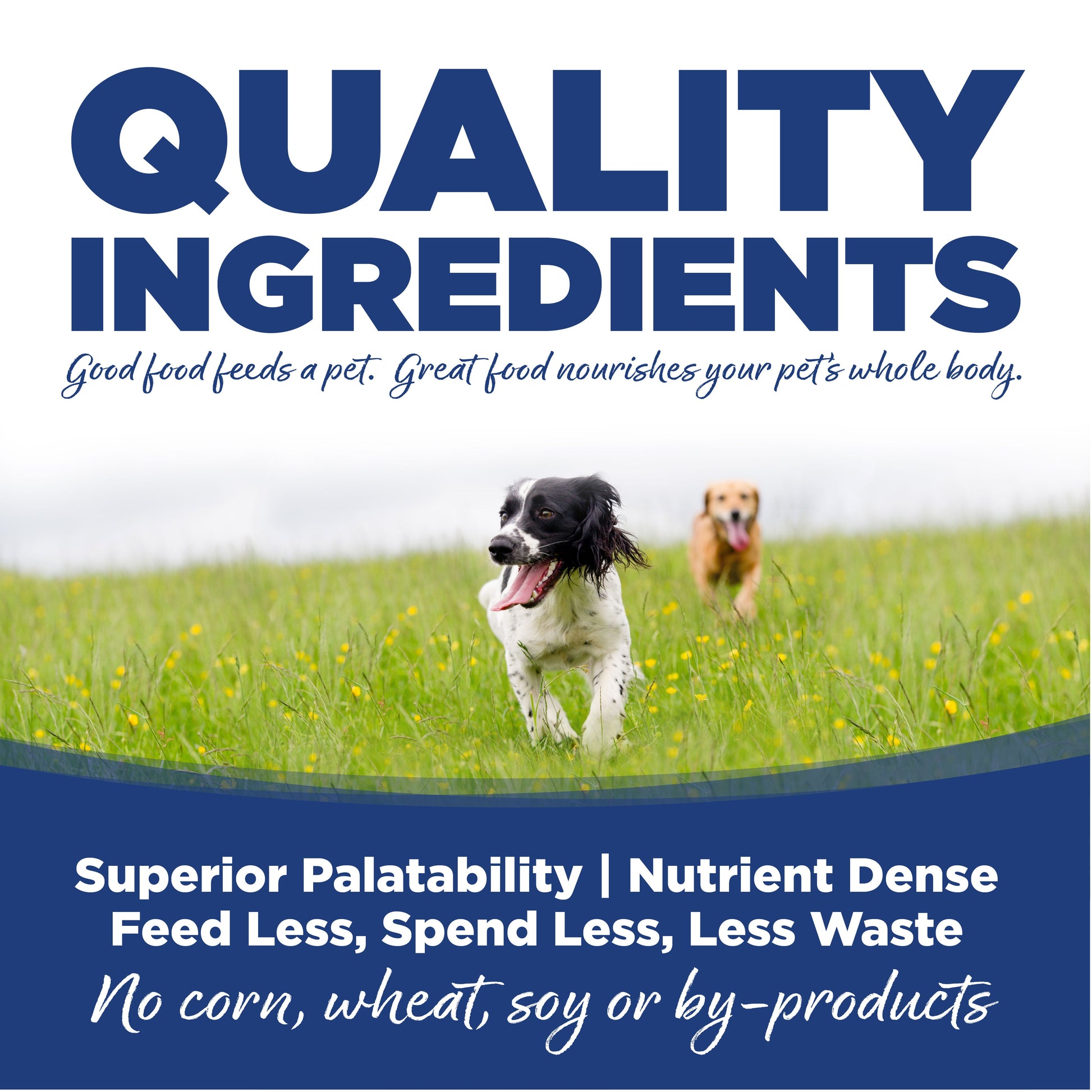 Quality Ingredients: Superior Palatability & Nutrient Dense – Feed less, spend less, less waste. No corn, wheat, soy or by-products.