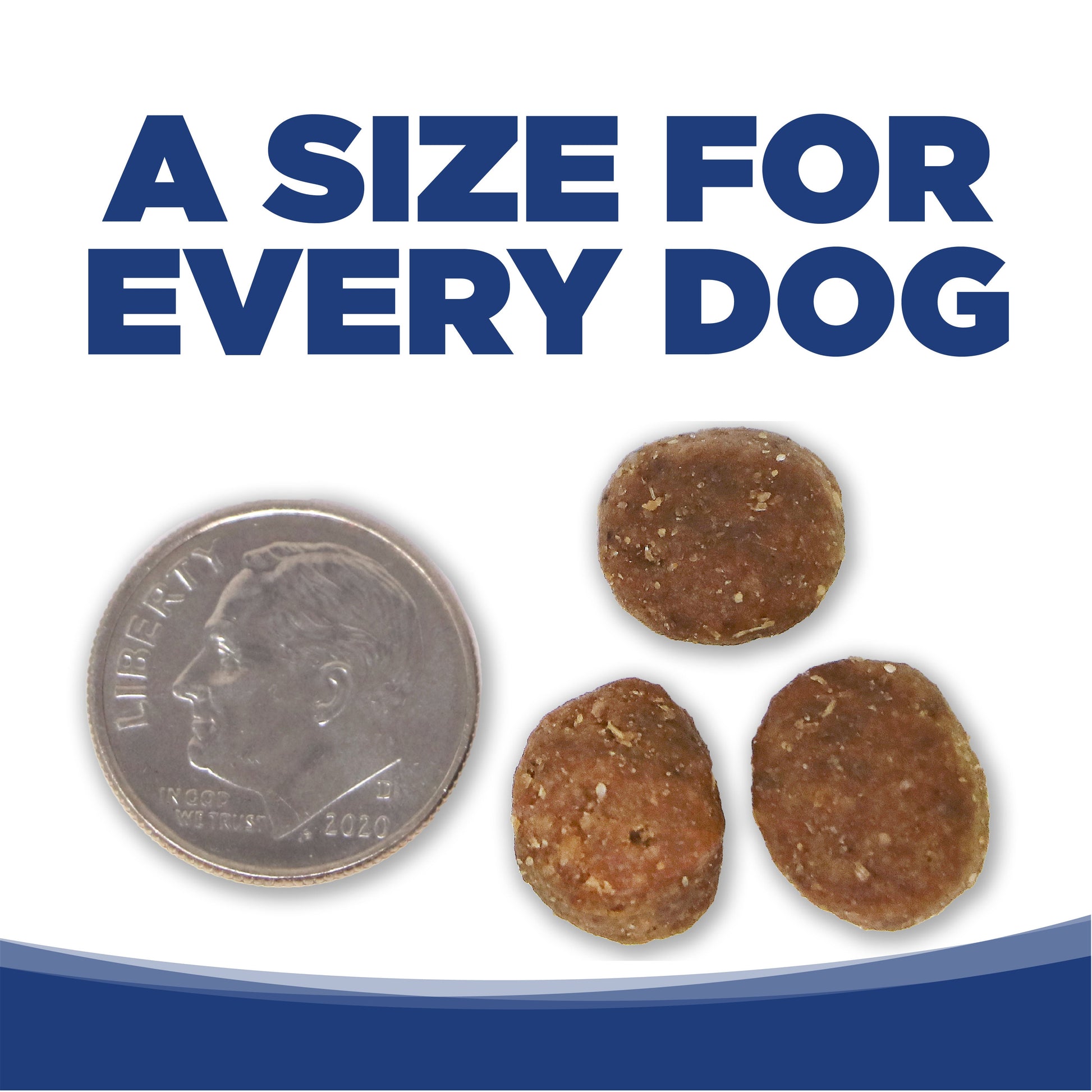 A SIZE FOR EVERY DOG