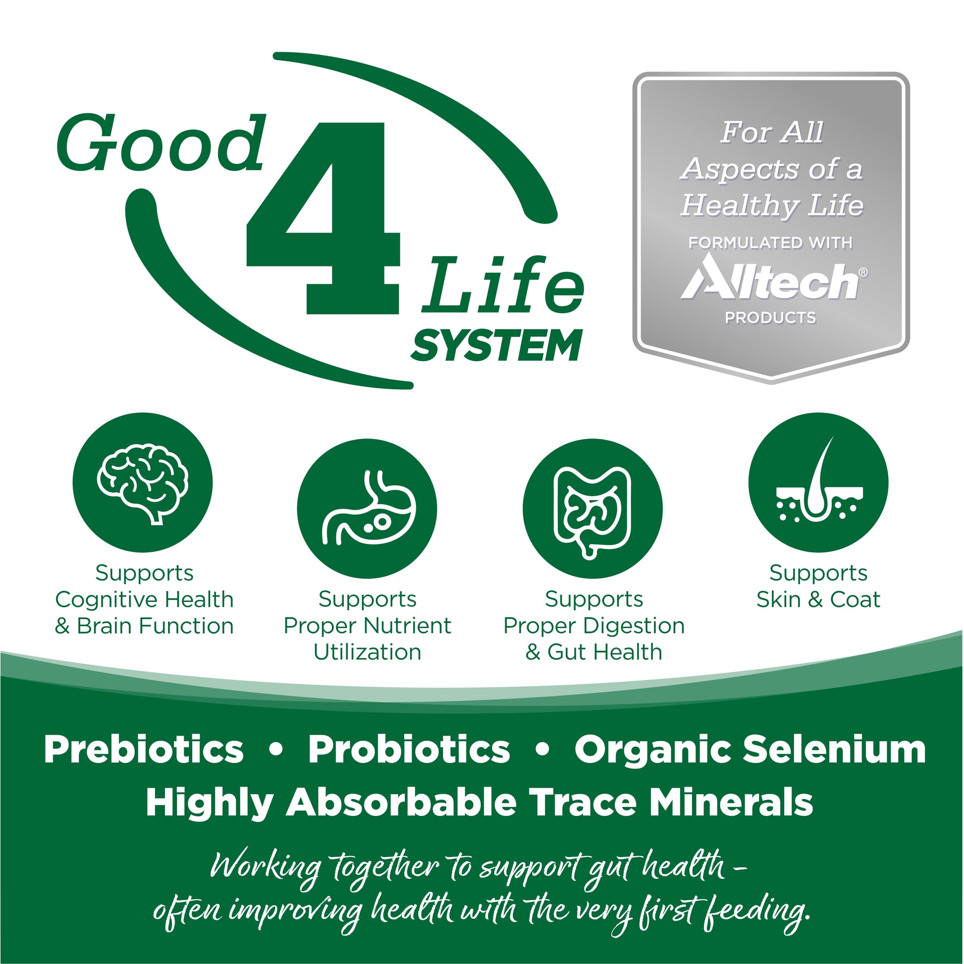 Good 4 Life SYSTEM

For All Aspects of a Healthy Life
FORMULATED WITH NItech®
PRODUCTS 

Supports Cognitive Health
& Brain Function

Supports Proper Nutrient
Utilization

Supports Proper Digestion
& Gut Health

Supports Skin & Coat

Prebiotics . Probiotics . Organic Selenium Highly Absorbable Trace Minerals 
Working together to support gut health - often improving health with the very first feeding.