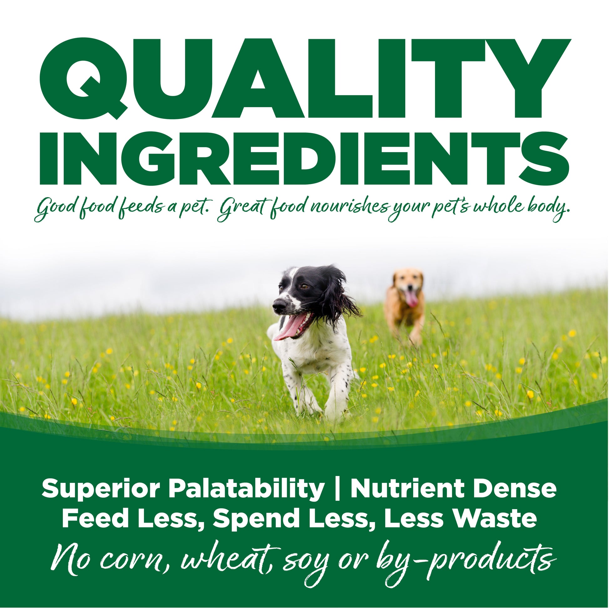 QUALITY INGREDIENTS
Good food feeds a pet. great food nourishes your pet's whole body.

Superior Palatability | Nutrient Dense
Feed Less, Spend Less, Less Waste
no corn, wheat soy or by-products