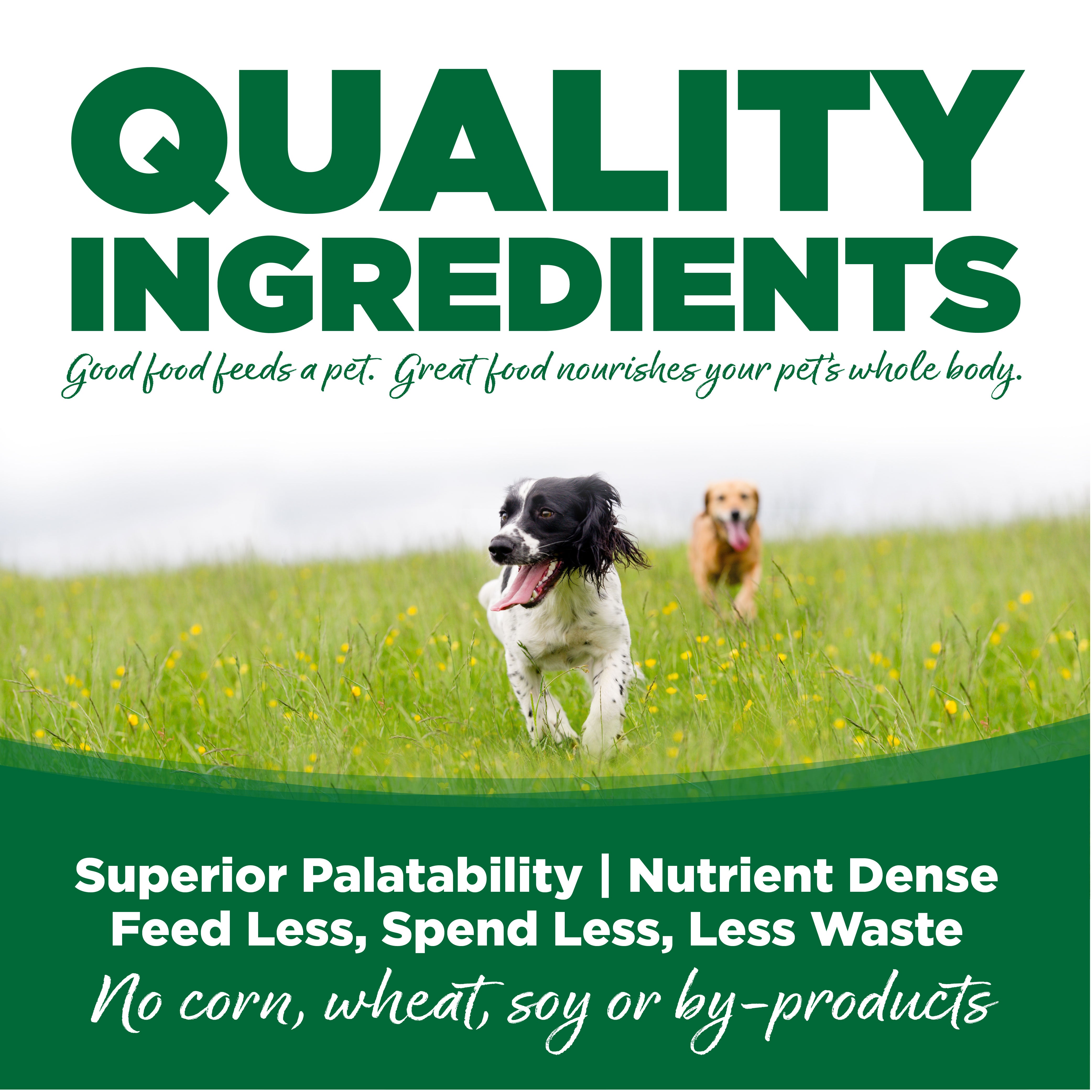 QUALITY INGREDIENTS
Good food feeds a pet. great food nourishes your pet's whole body.

Superior Palatability | Nutrient Dense
Feed Less, Spend Less, Less Waste
no corn, wheat soy or by-products