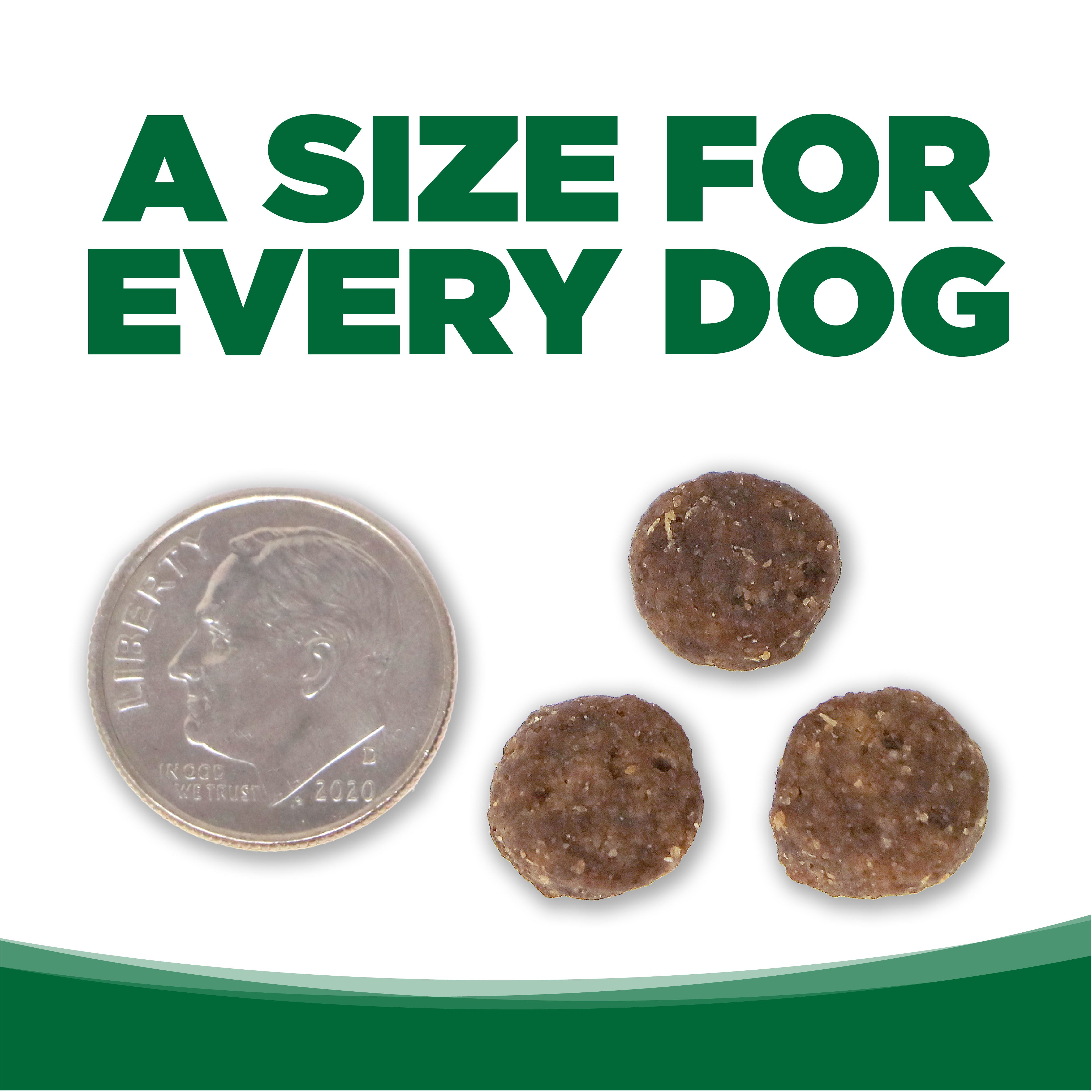 advertisement showing kibble size is smaller than a dime