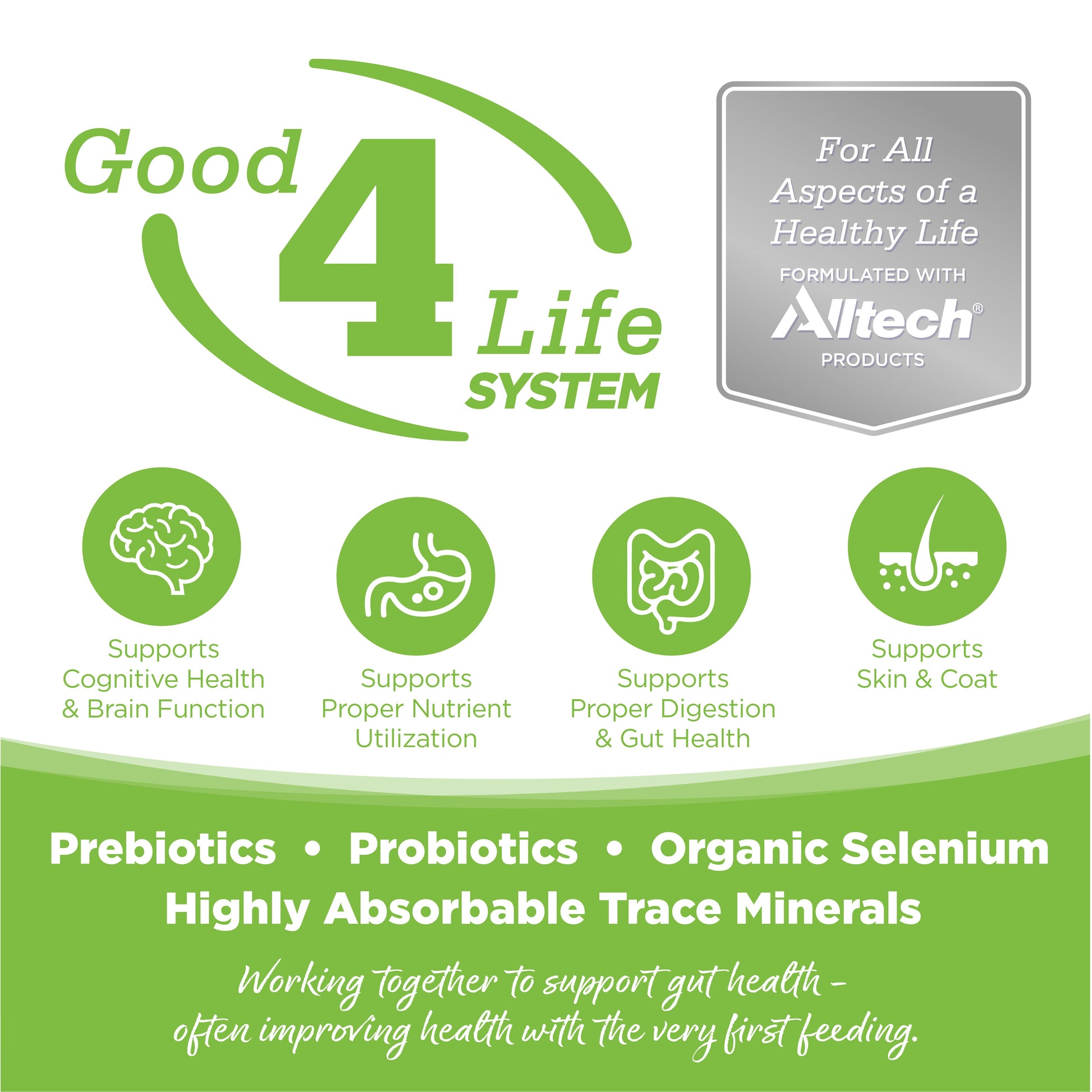Good 4 Life: Our proprietary Good 4 Life system includes 4 key ingredients that work together to support gut health and the well-being of your pet.