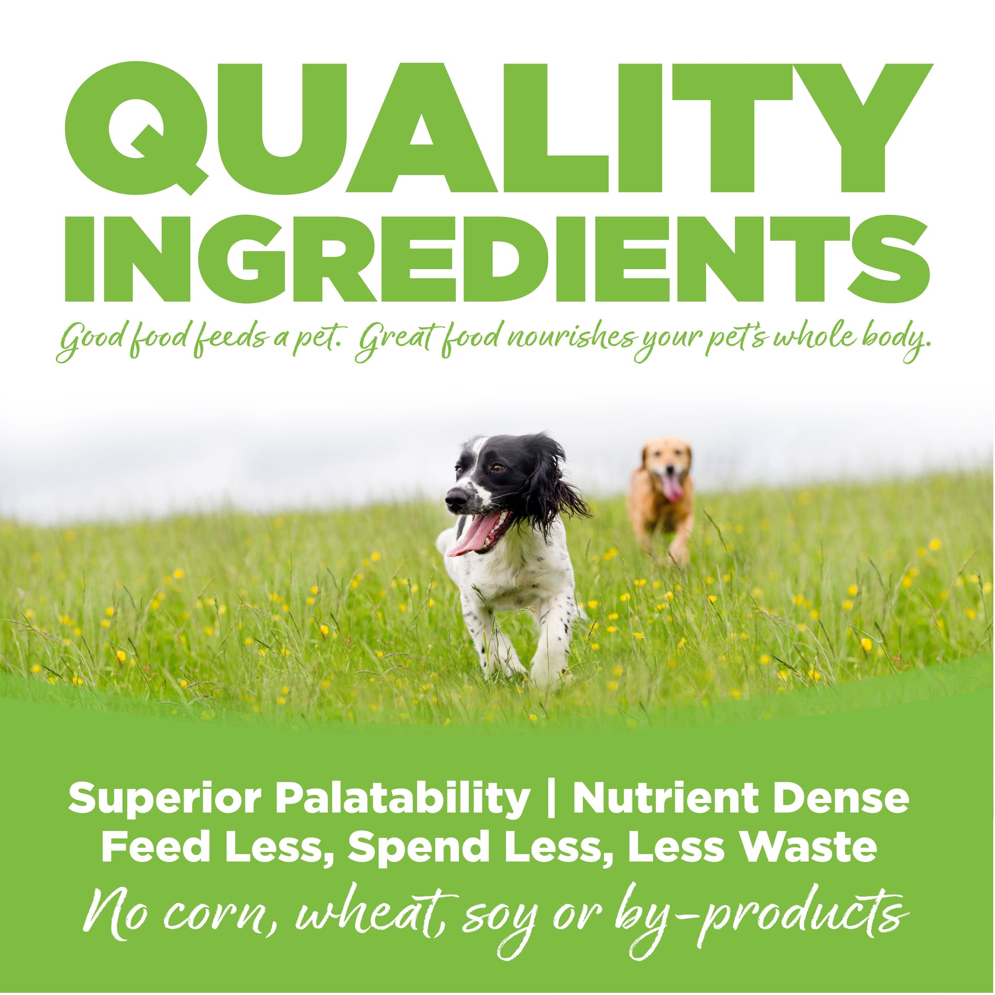 Quality Ingredients: Superior Palatability & Nutrient Dense – Feed less, spend less, less waste. No corn, wheat, soy or by-products.
