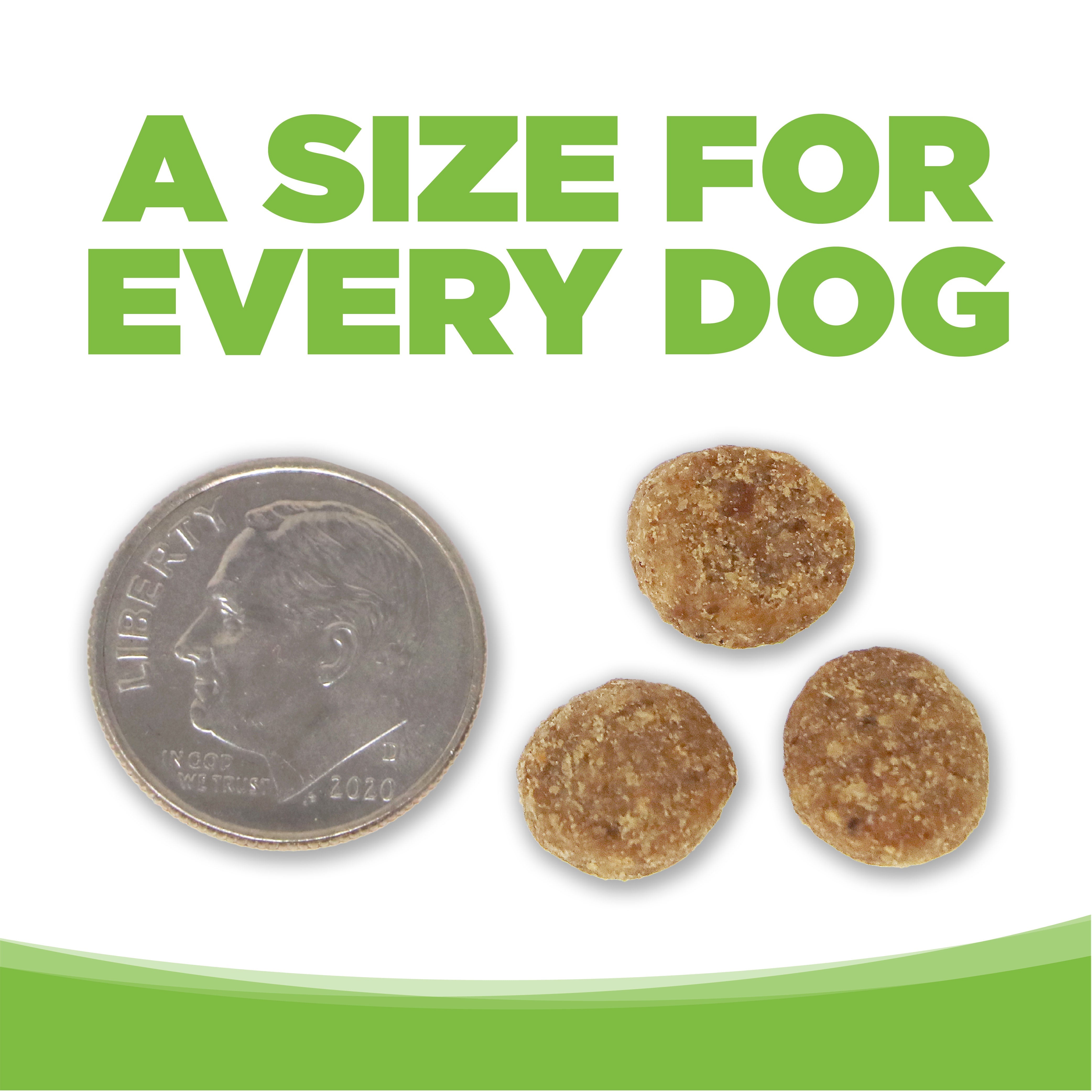 A SIZE FOR EVERY DOG