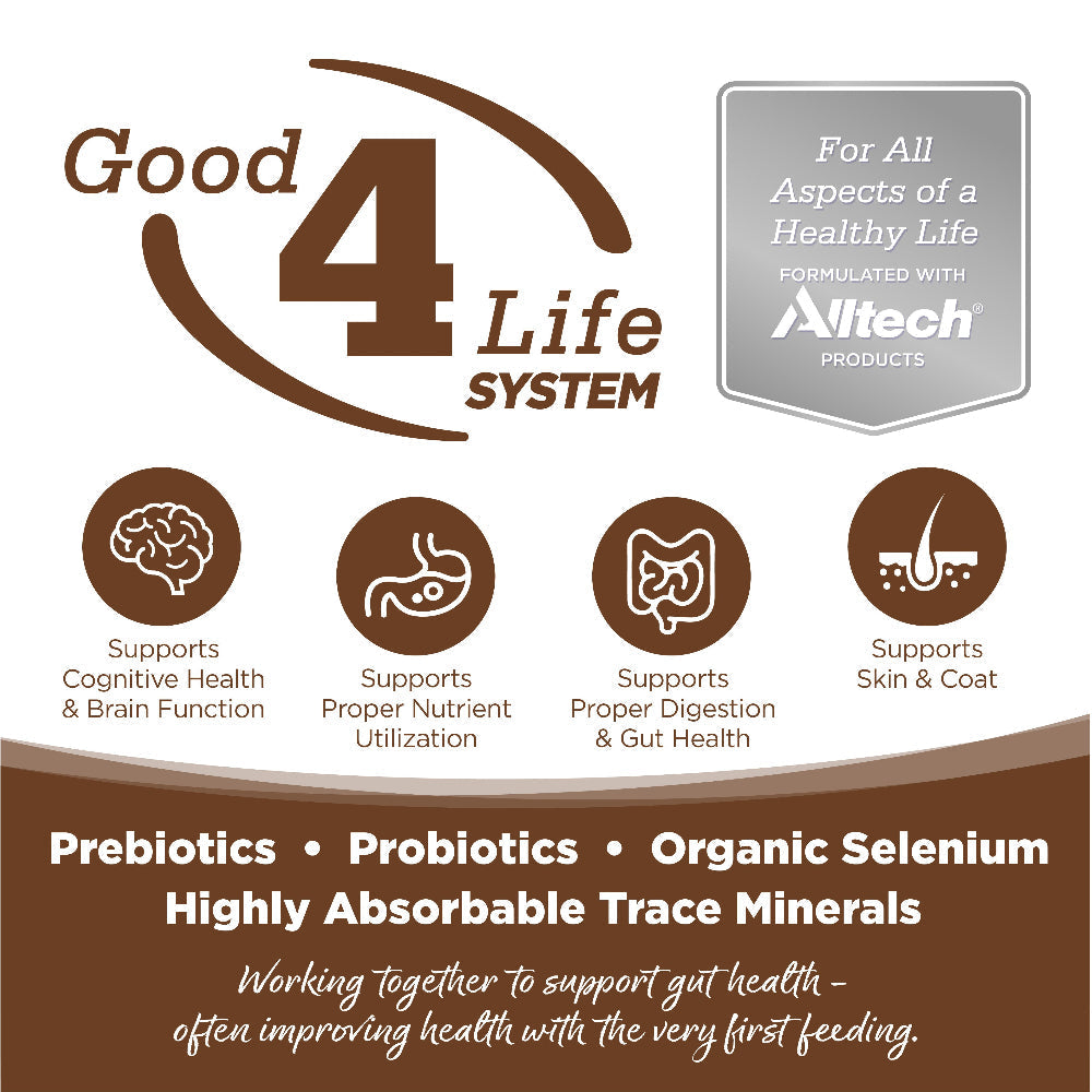 Advertisement for Good 4 Life System with Altech branding and health benefits listed.