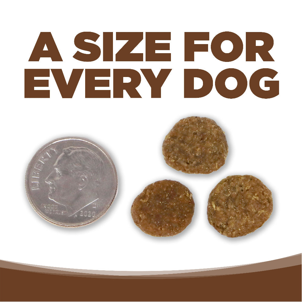 Three dog treats next to a dime on a white background with text 'A Size for Every Dog'.