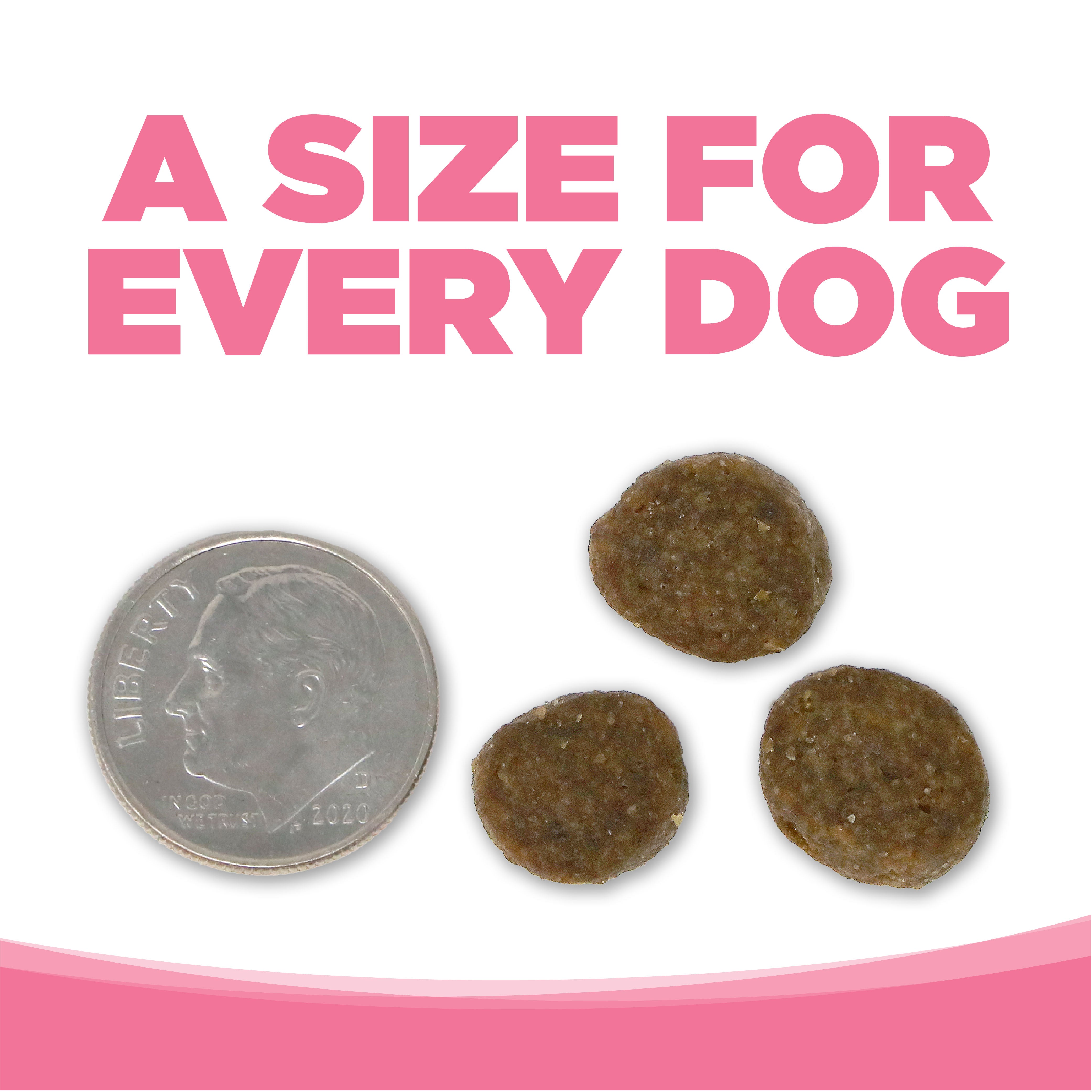 A SIZE FOR EVERY DOG