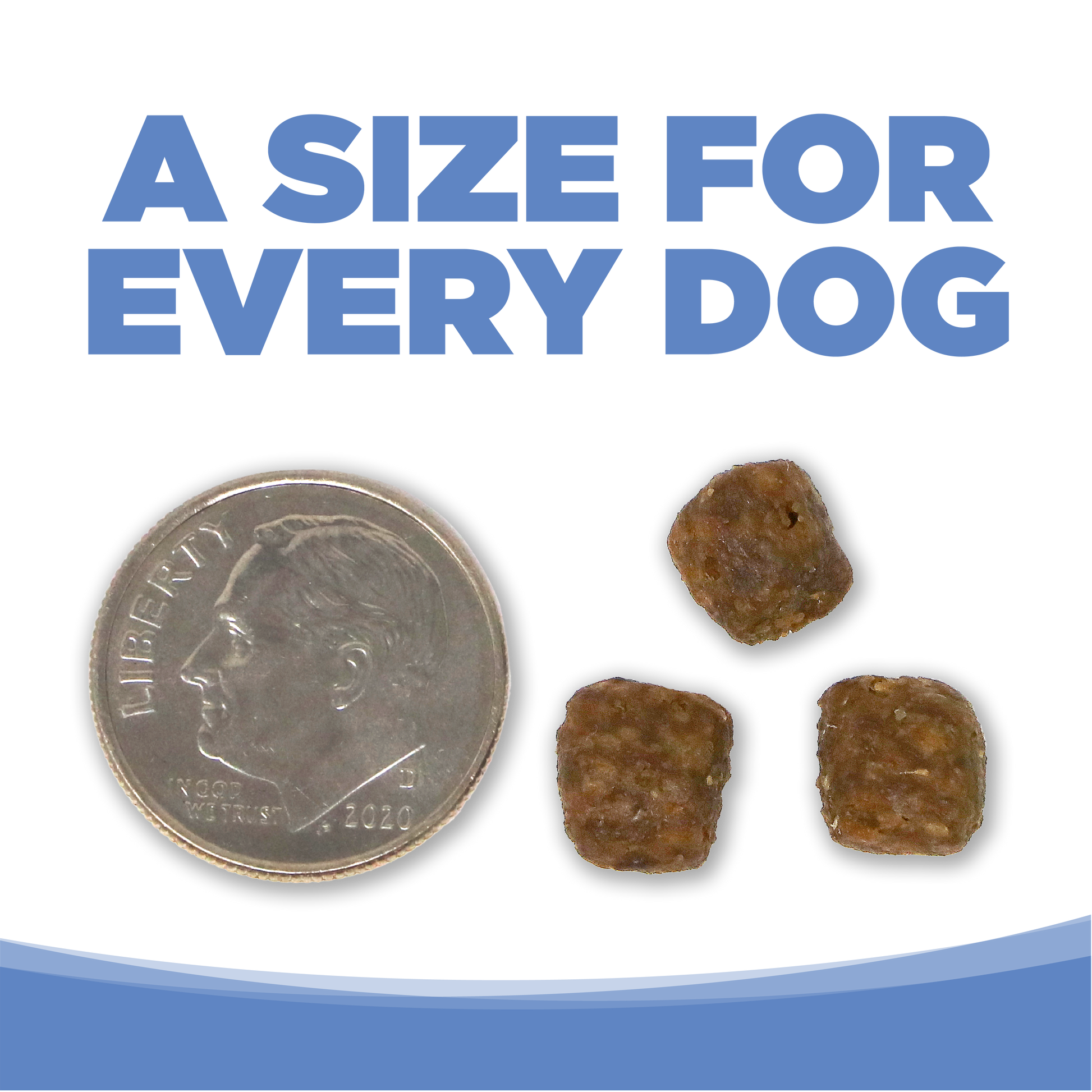 A SIZE FOR EVERY DOG