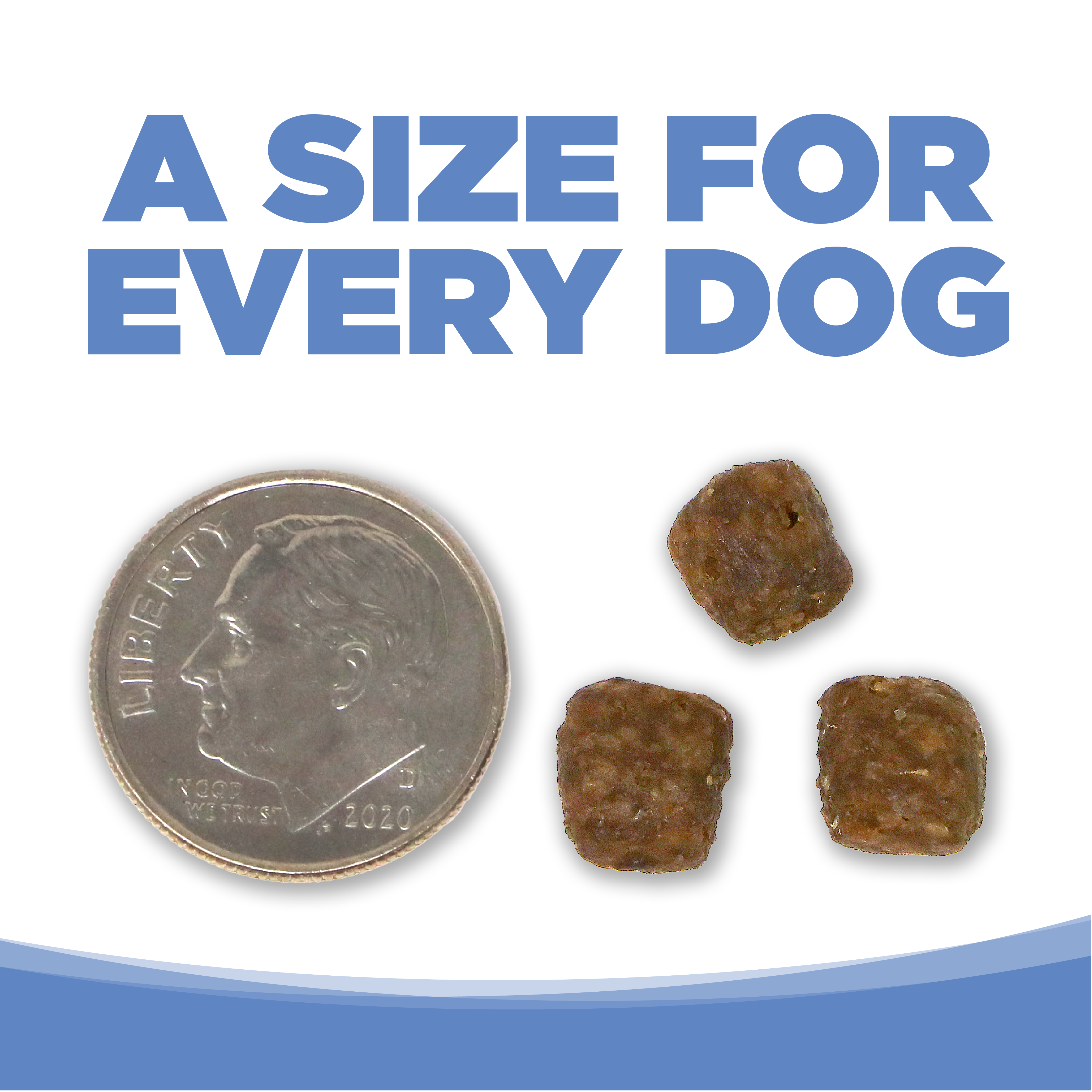 A SIZE FOR EVERY DOG