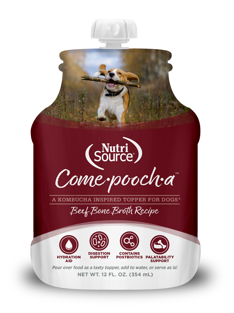 A pouch of NutriSource Come-pooch-a Beef Bone Broth Recipe for dogs, with an image of a dog holding a stick in its mouth.
