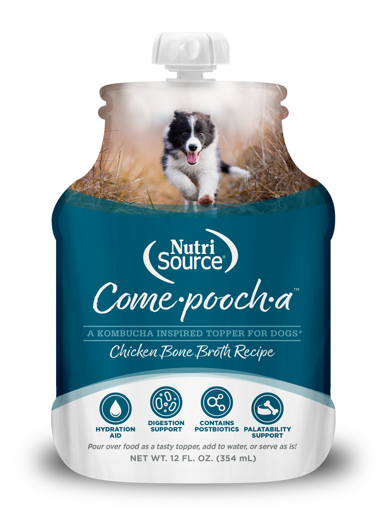 A pouch of NutriSource Come-pooch-a Chicken Bone Broth Recipe for dogs, with an image of a dog on the front.