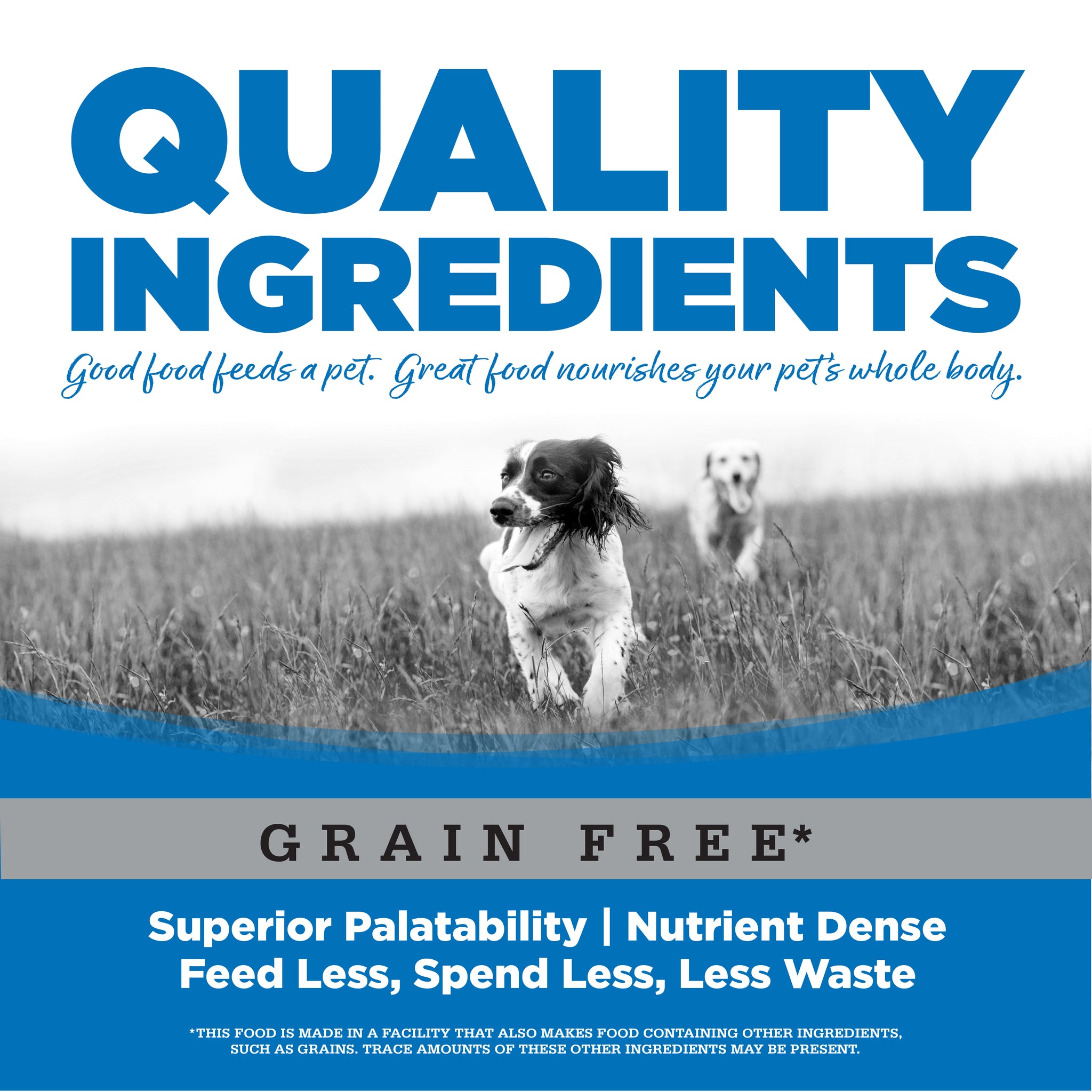 And Rice Authority Chicken Pea Formula Large Breed Grain-Free